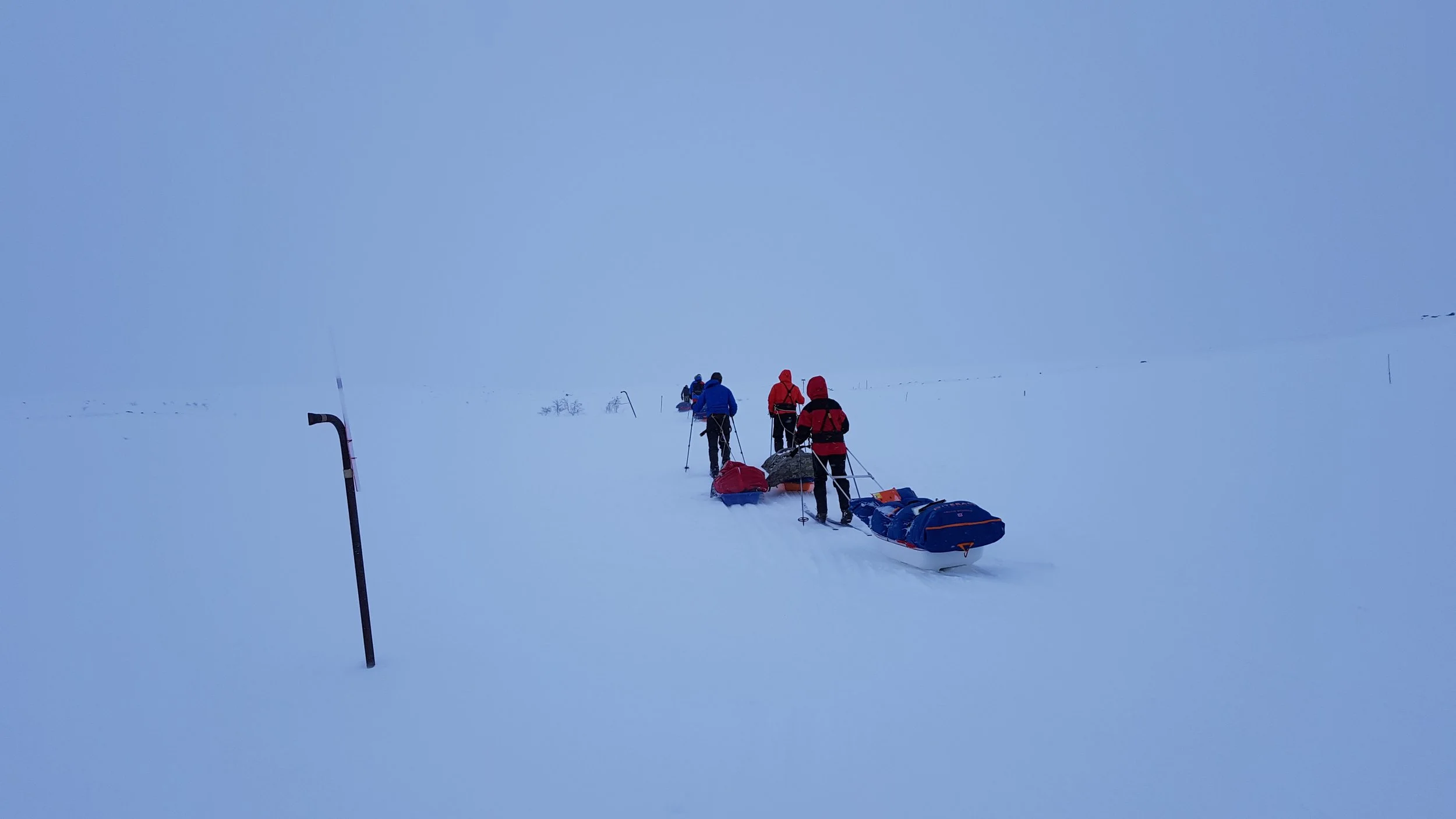 20180317_152642.jpg