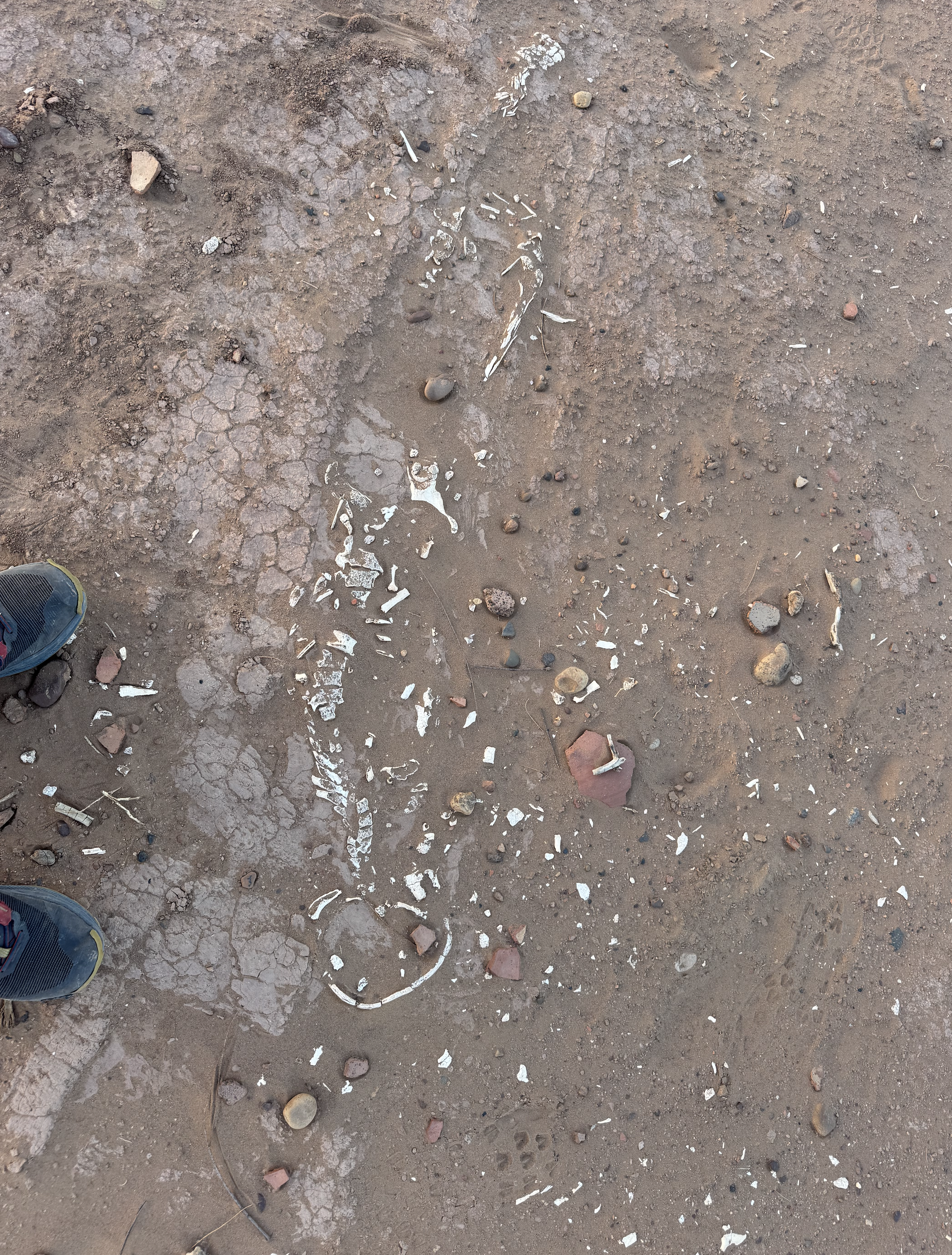 Screenshot 2026-03-30 at 13.01.53.png