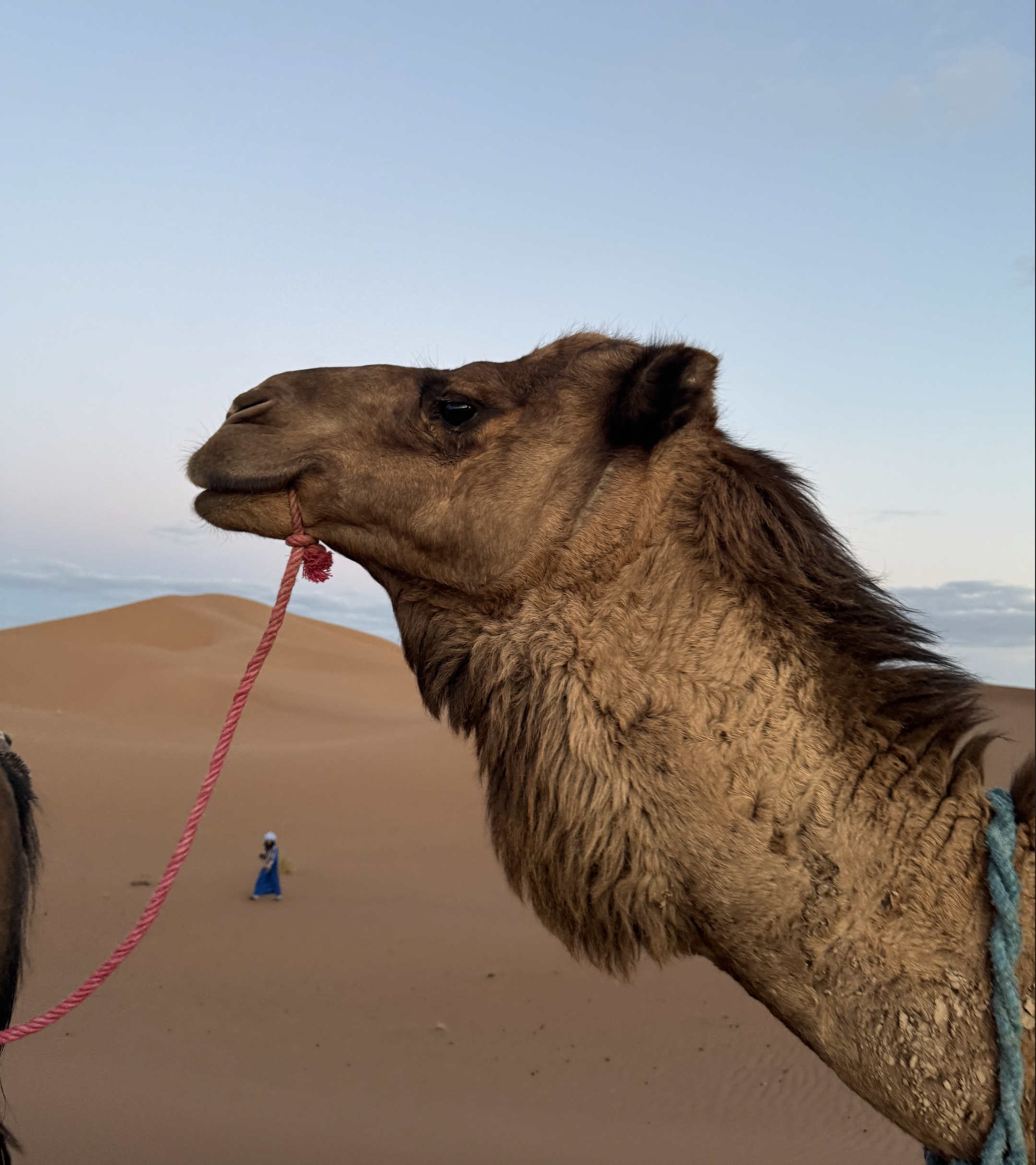 Screenshot 2026-03-30 at 12.54.49.png