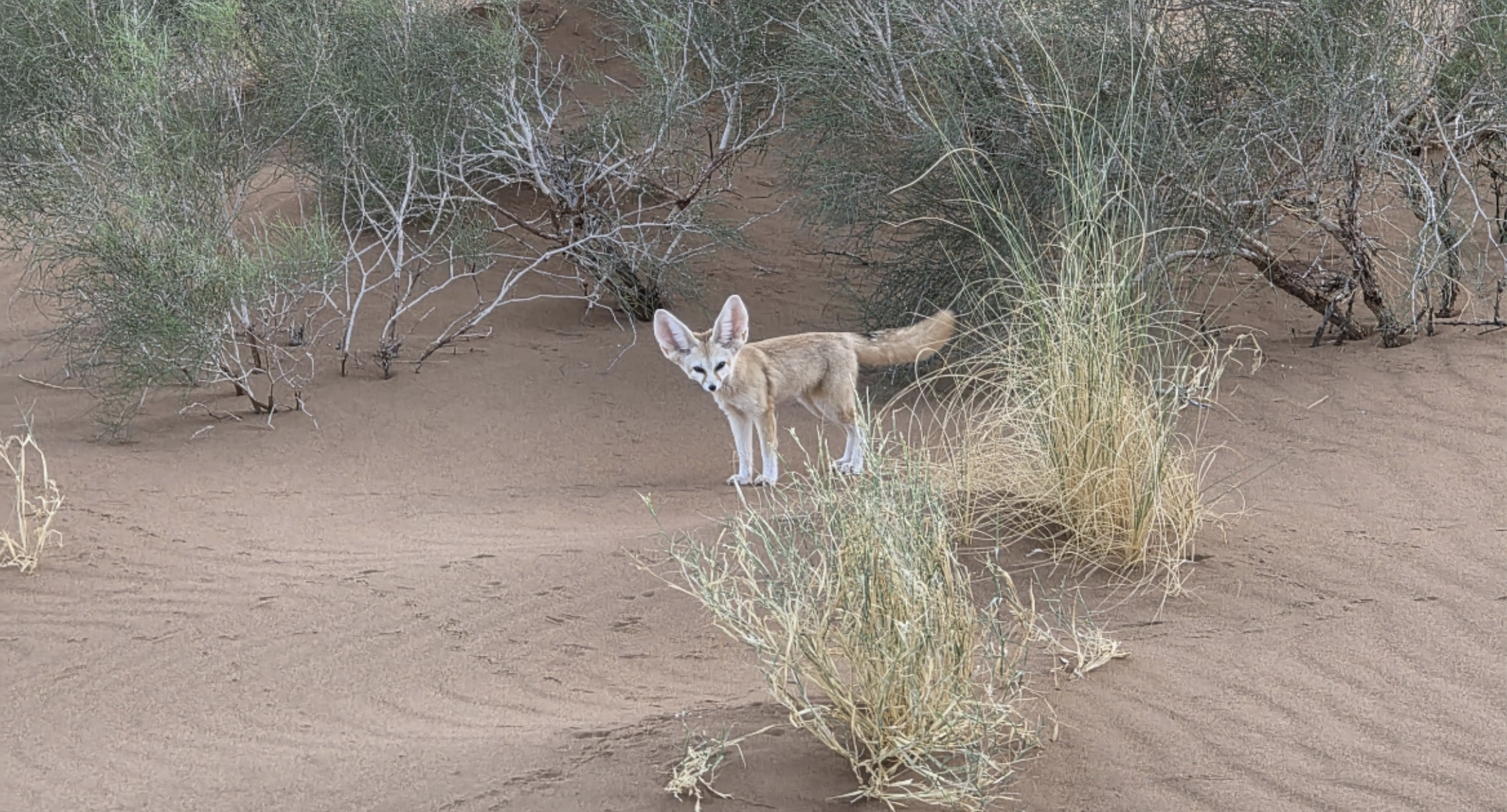 Screenshot 2026-03-30 at 12.48.02.png