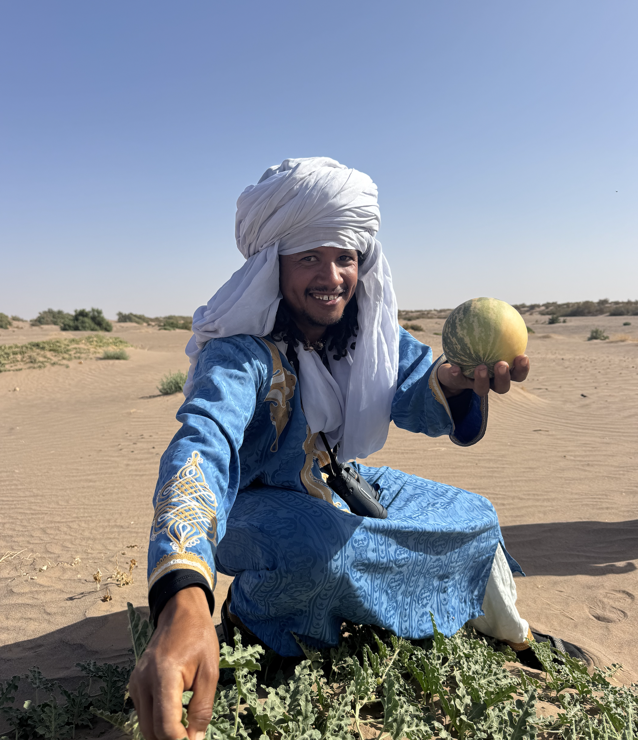 Screenshot 2026-03-30 at 12.59.50.png