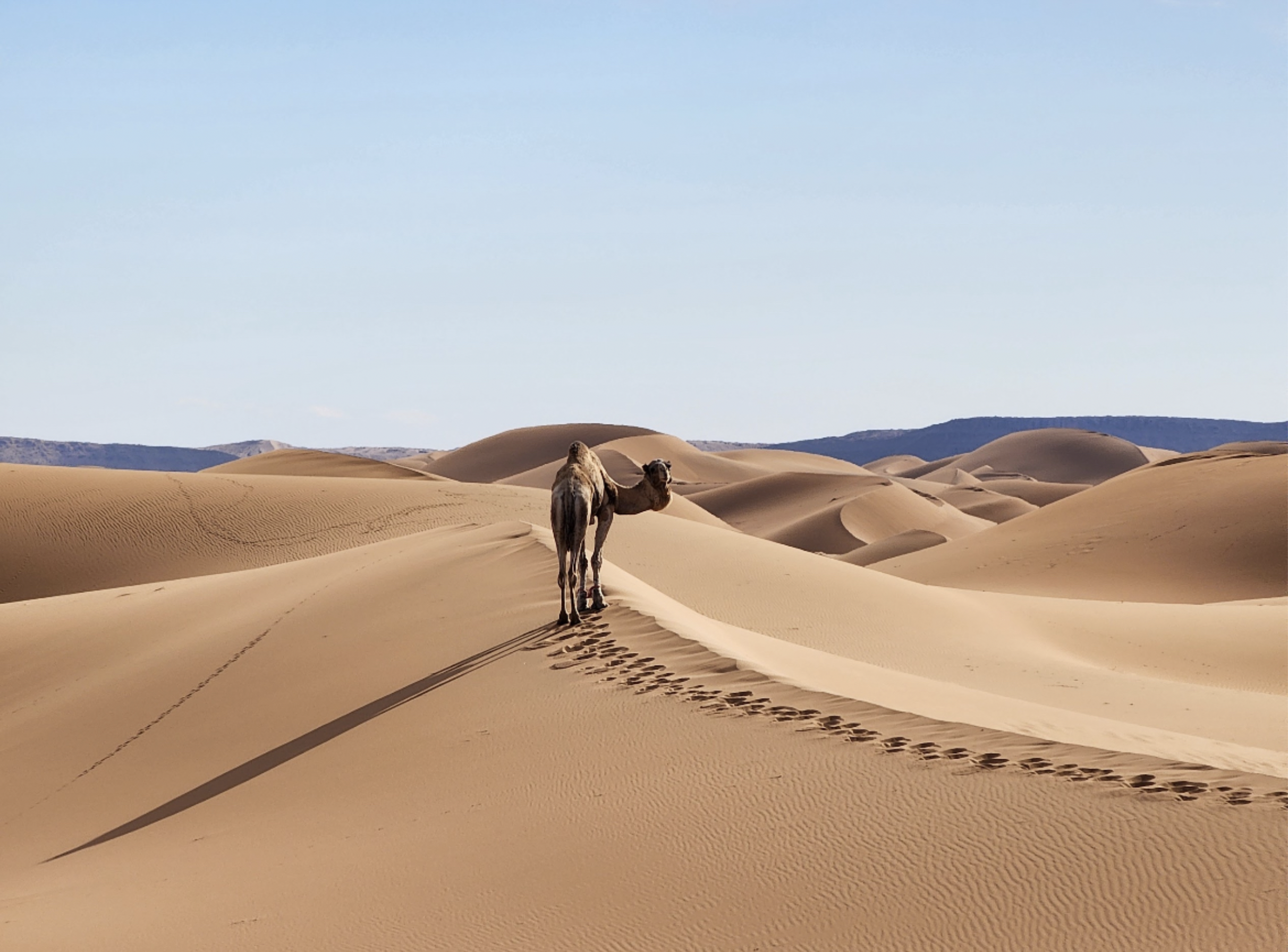 Screenshot 2026-03-30 at 12.47.16.png