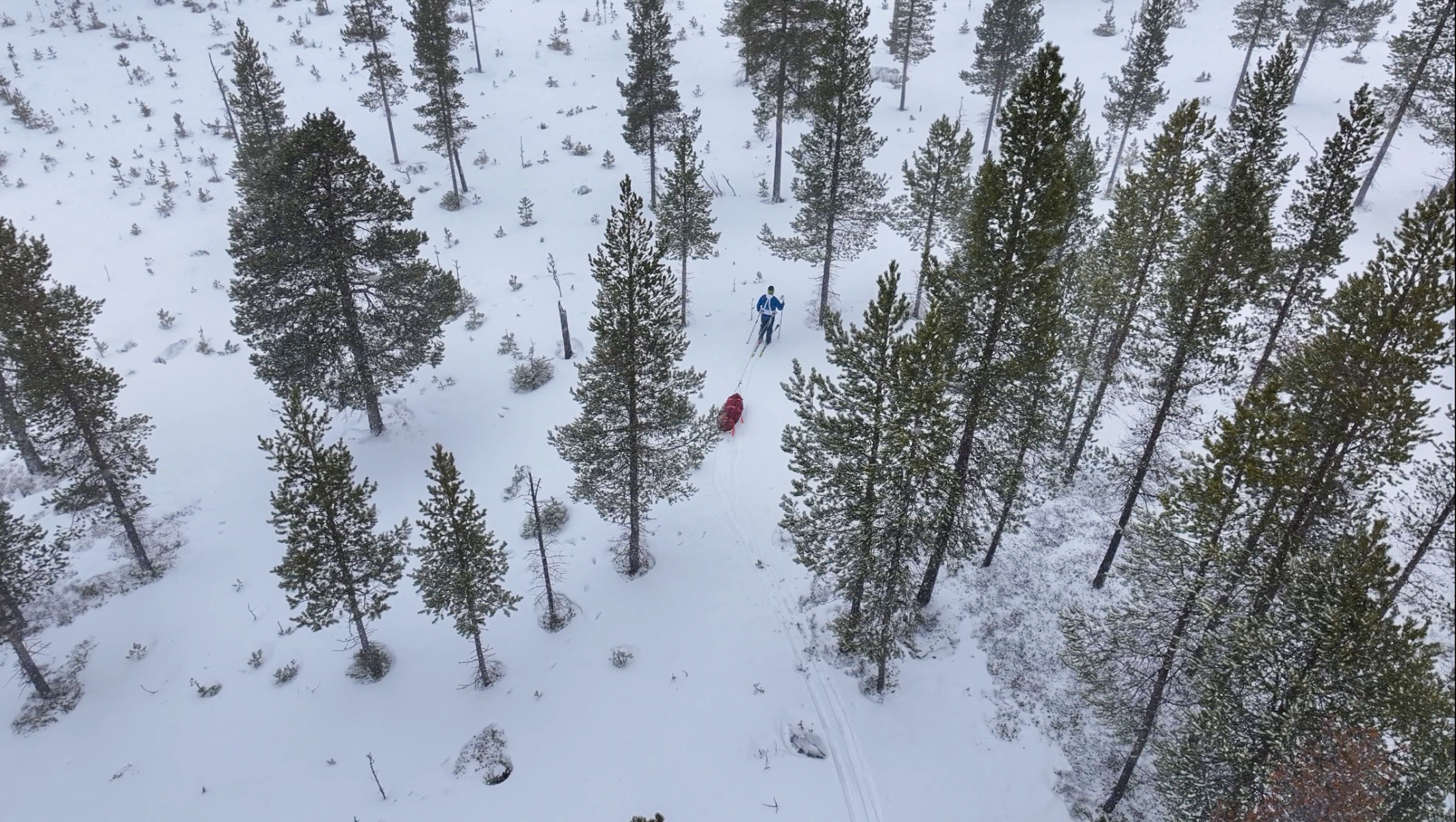 Screenshot 2026-04-13 at 21.22.03.png