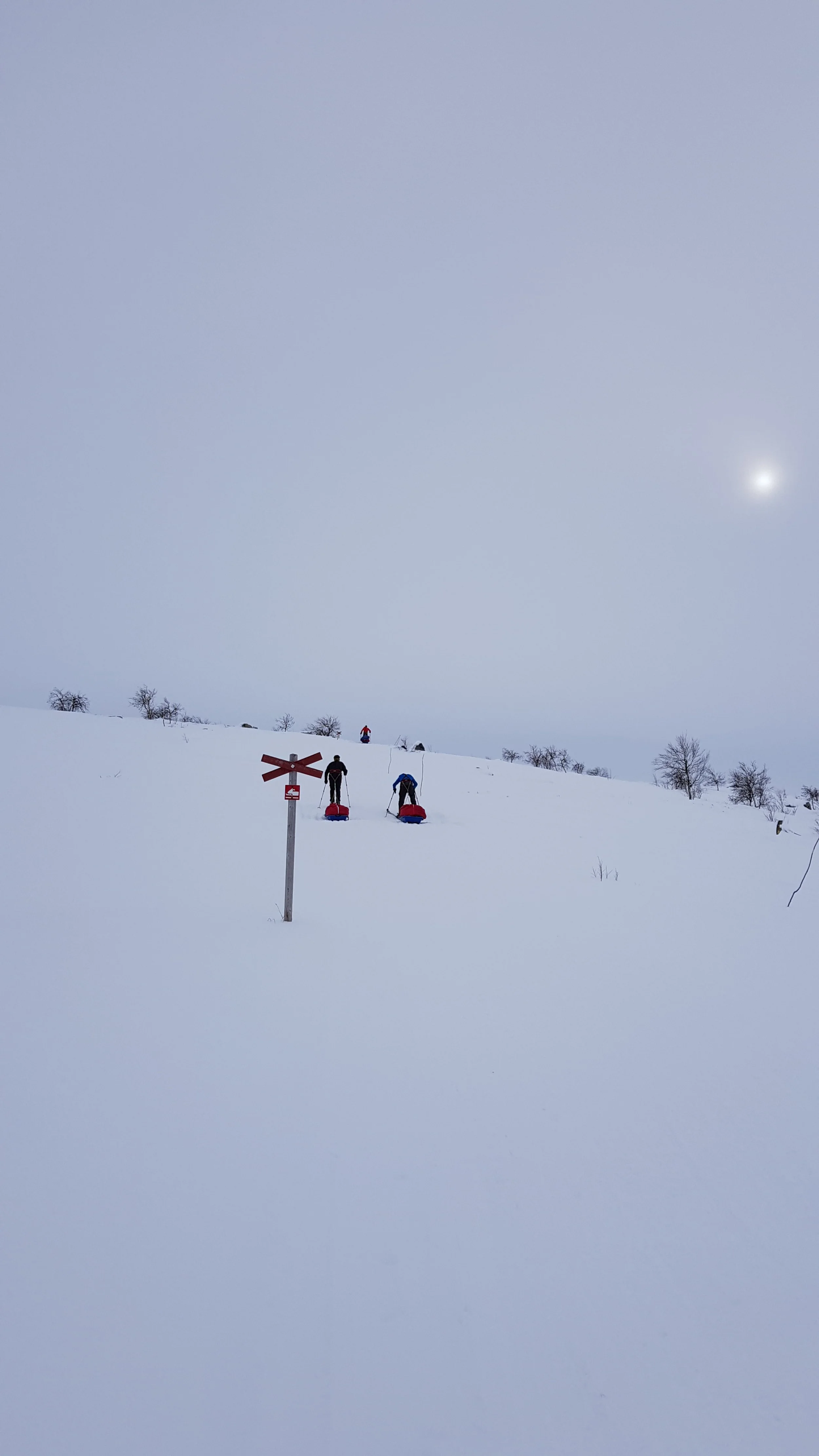 20180317_094745.jpg