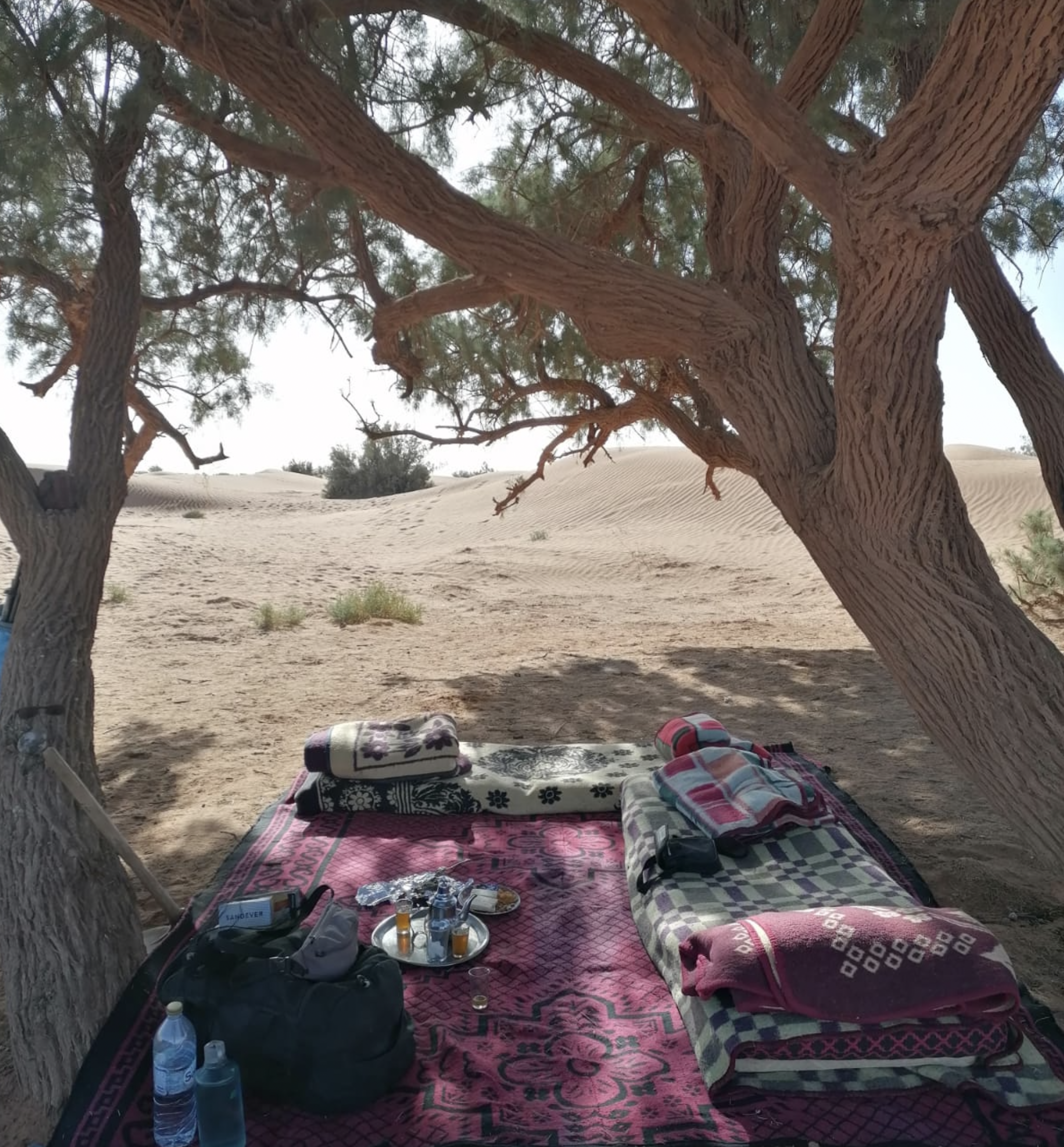 Screenshot 2026-03-30 at 12.57.54.png