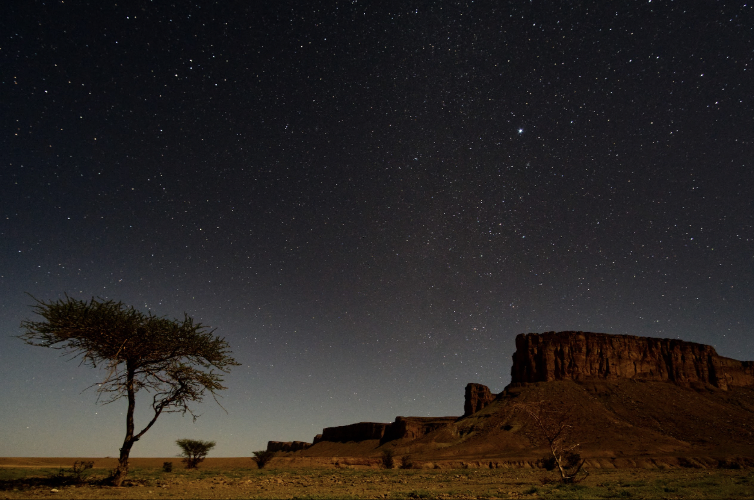 Screenshot 2026-03-30 at 12.47.39.png