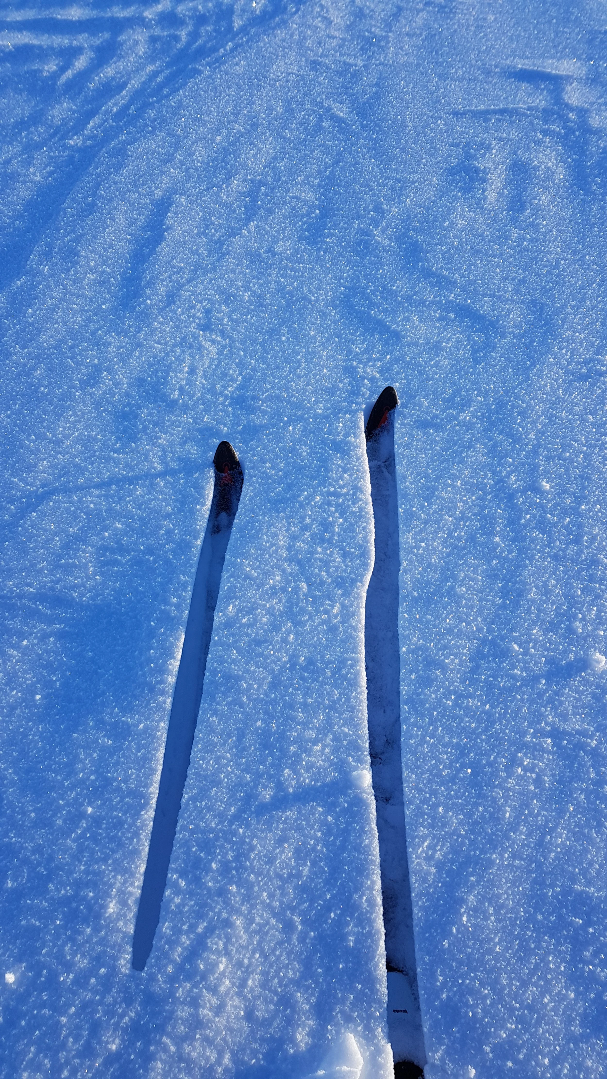 20180314_151946.jpg