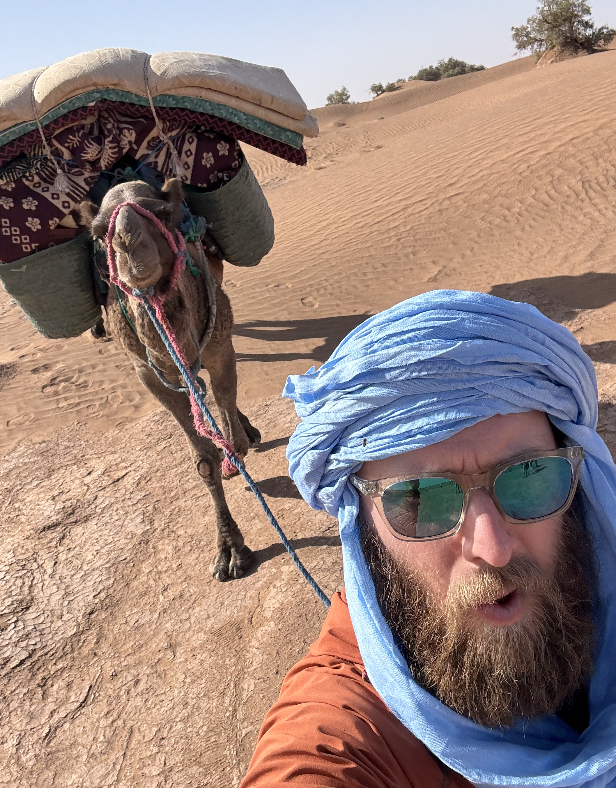 Screenshot 2026-03-30 at 13.00.02.png