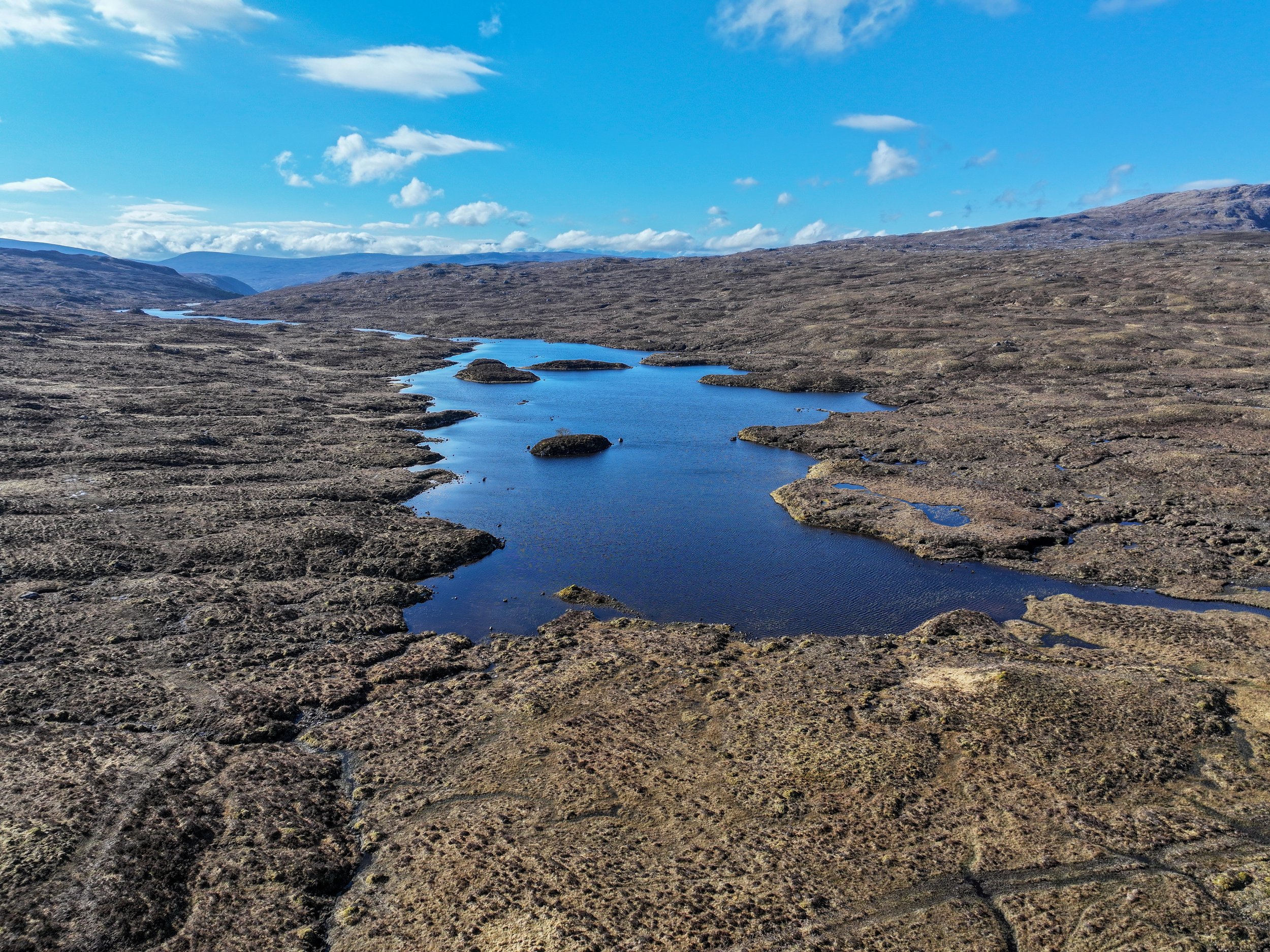 DJI_20240428091127_0053_D.jpeg