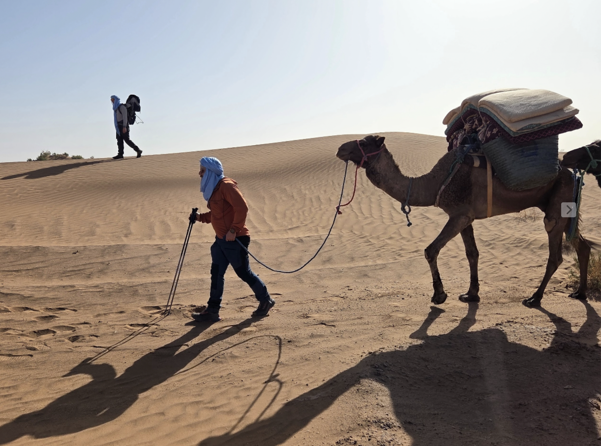 Screenshot 2026-03-30 at 12.48.11.png