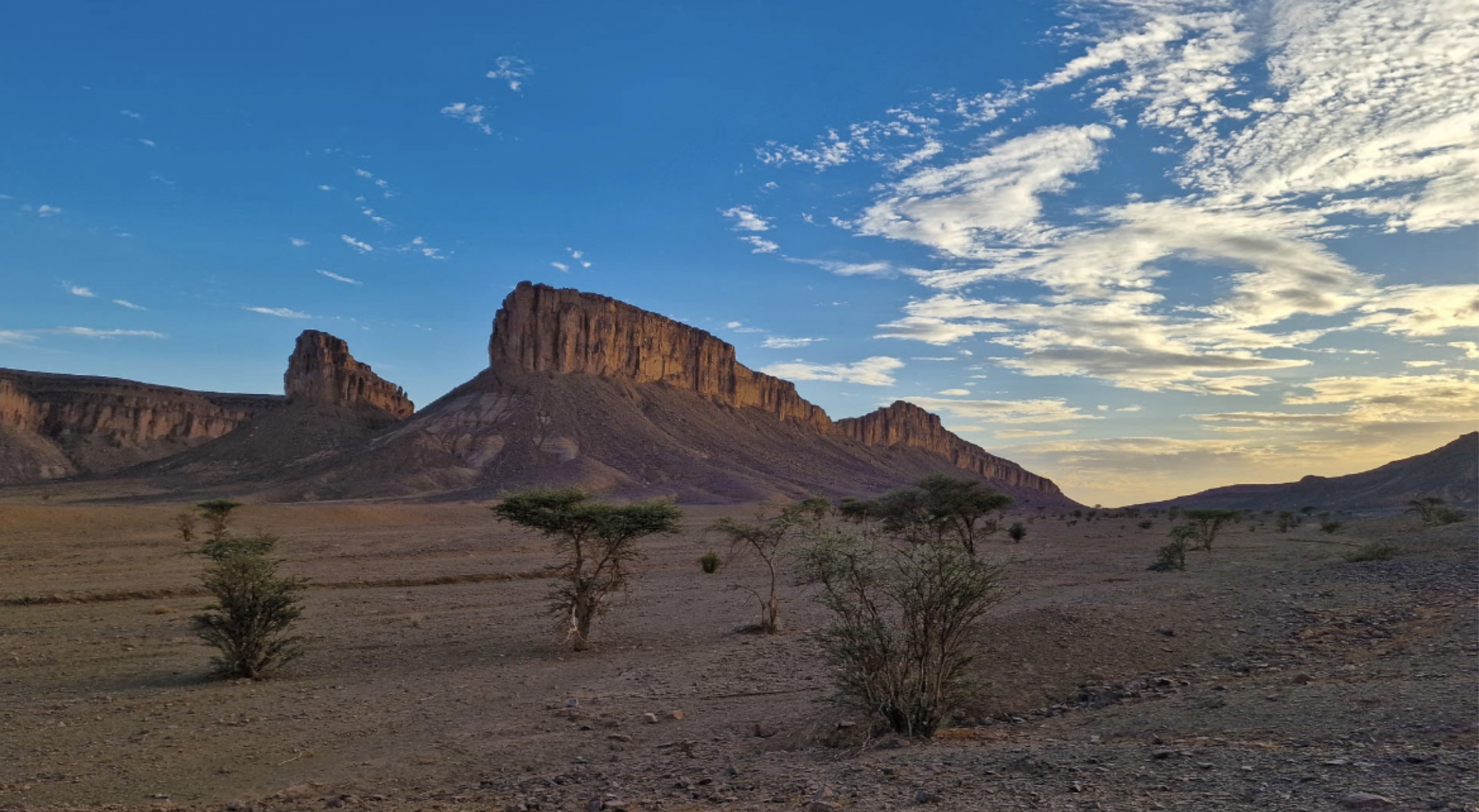 Screenshot 2026-03-30 at 12.48.37.png