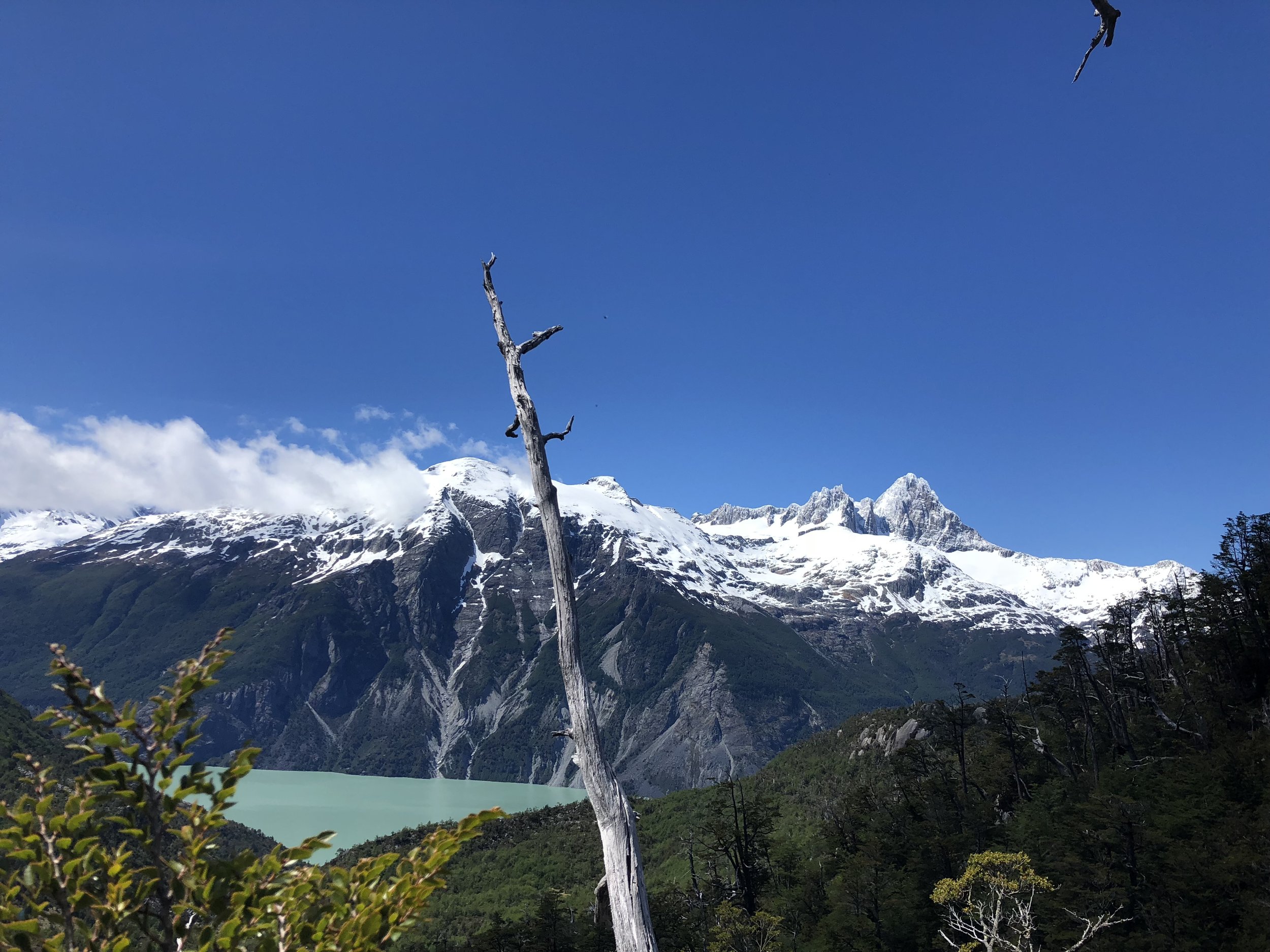 IMG_8819.jpeg