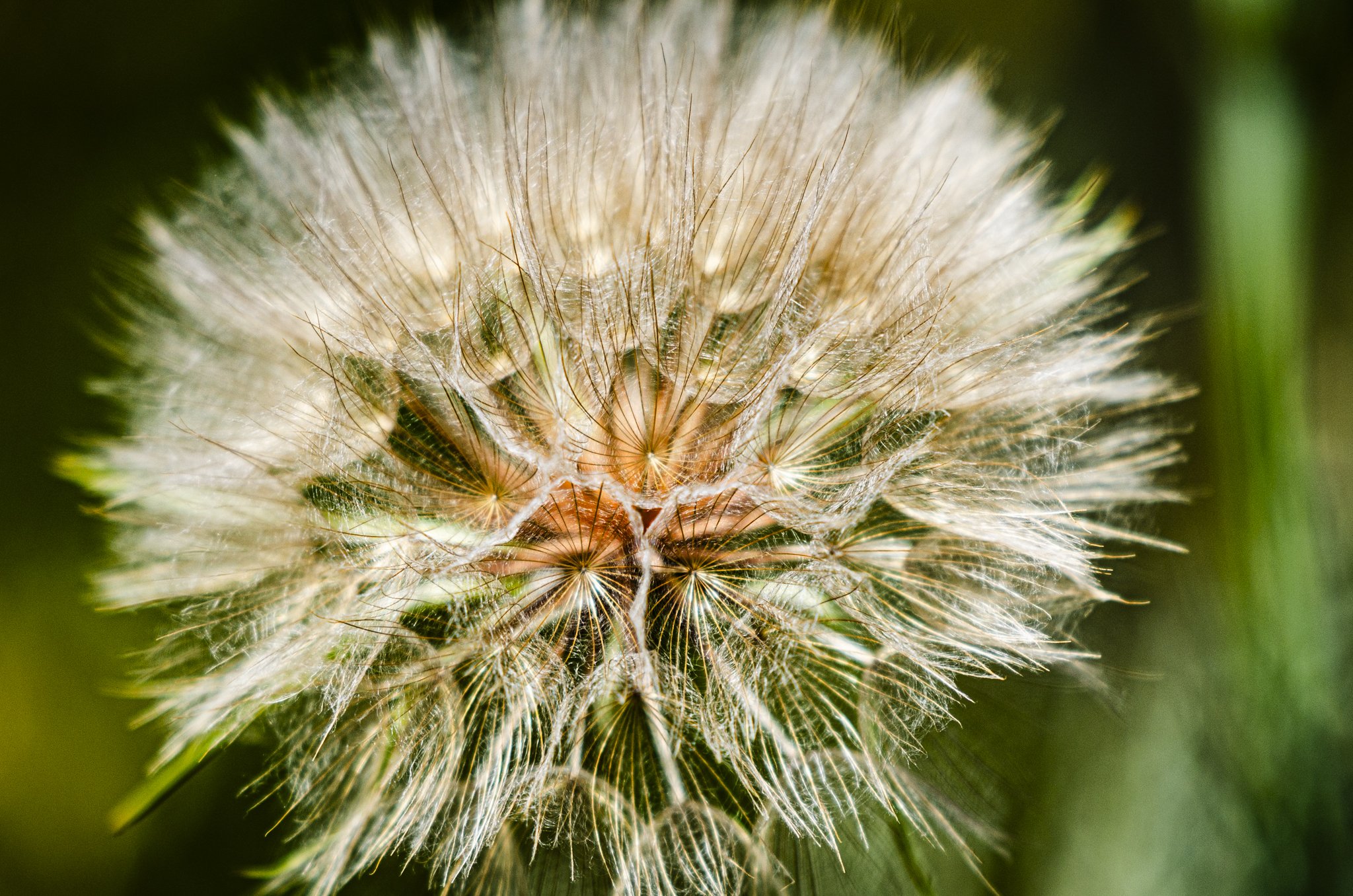 DSC_9555.jpg
