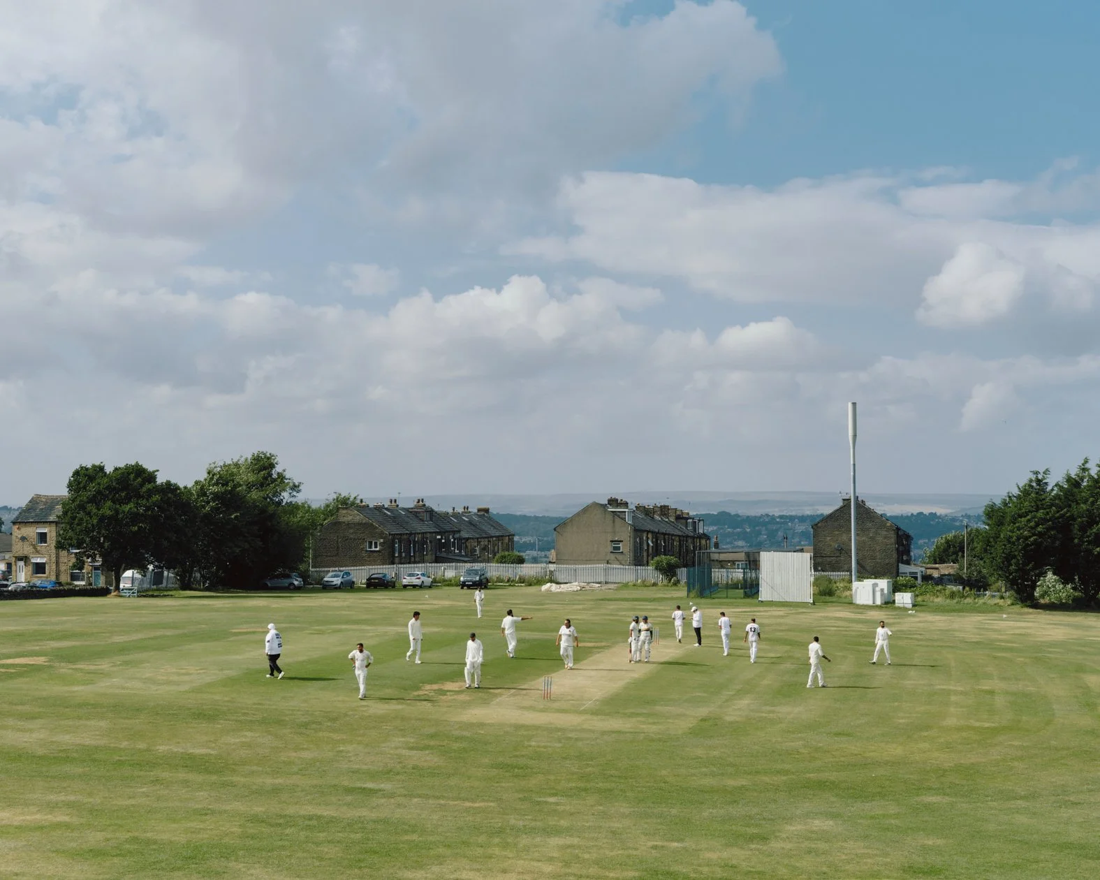 A Portrait of Cricket by Tom Shaw