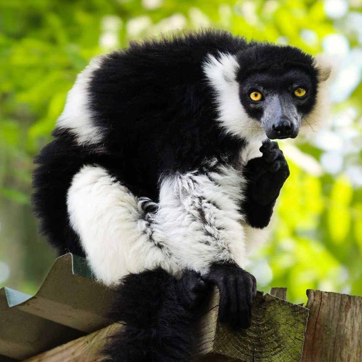 BATH POP UP &ndash; FINALISTS ANNOUNCED 4/4

We&rsquo;re excited to reveal the student finalists for the @alumnogram sponsored Photo North Student Photography Competition in Bath. 

These emerging photographers have impressed our judges with creativi