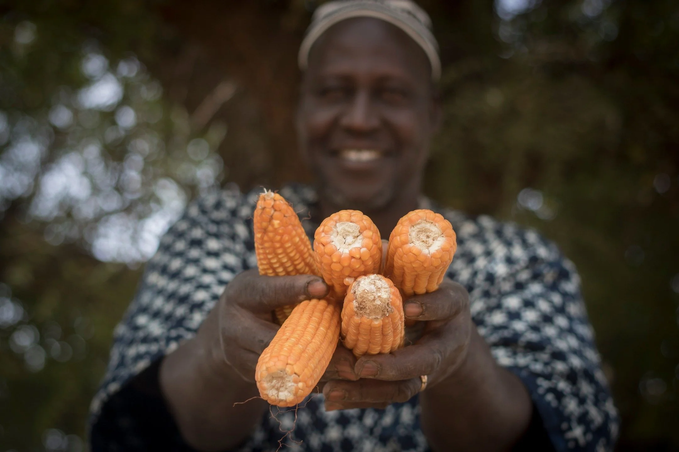 🌾 Who Are You? by John Moussa Kalapo

In a village in Mali, a man and his child stand at the edge of a maize field. Hands red from the earth, he smiles at the abundant harvest. 🌽 Months of care, patience, and hope sown into the soil have come to li