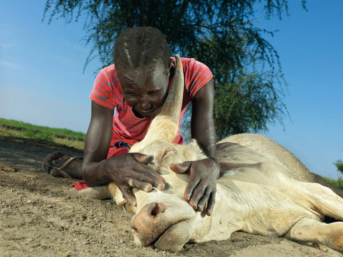 ©Peter-Caton_Unyielding Floods-23.jpg