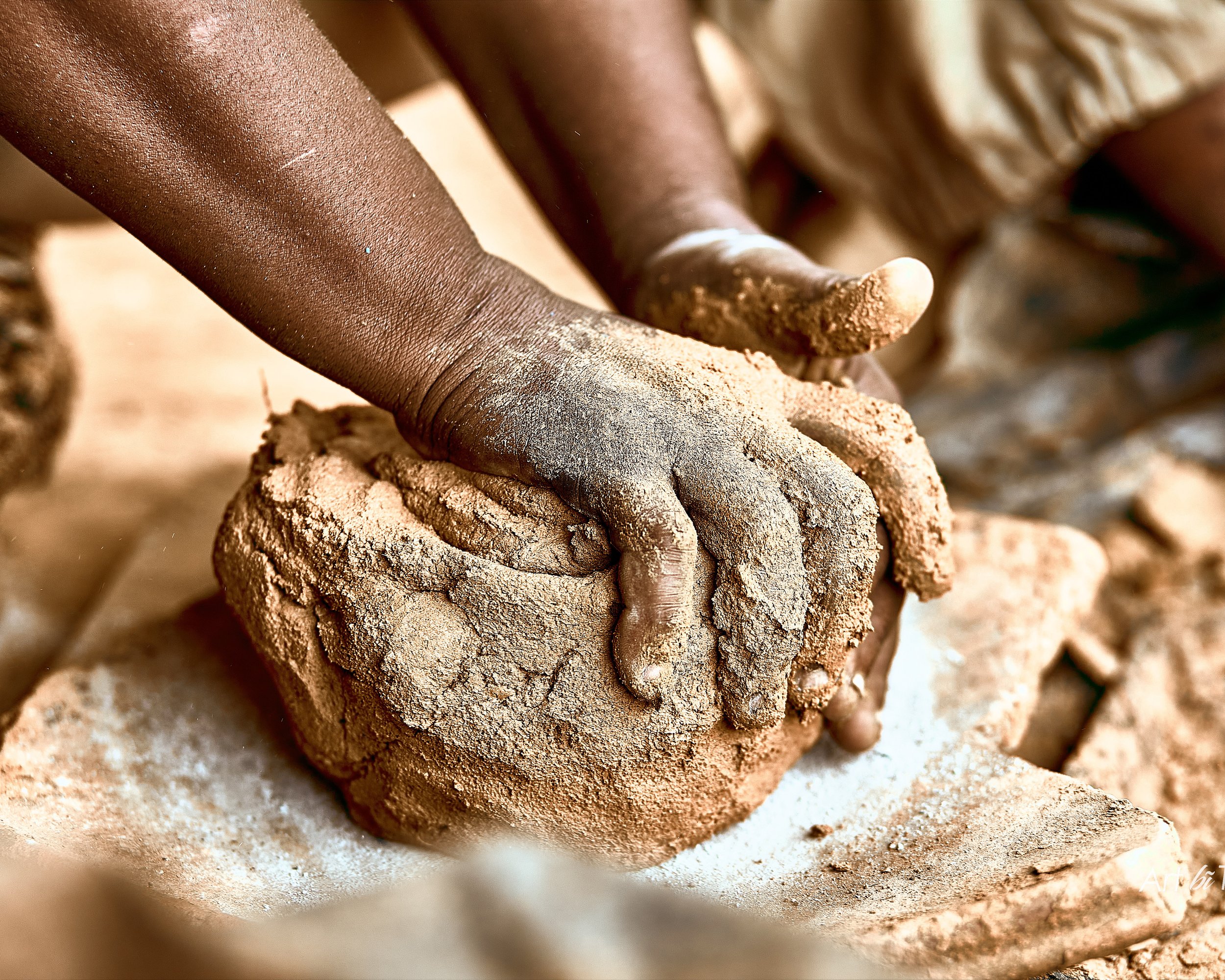 Earthwise by guest curators Leeds International Arts Festival. Image by Tobi Dosumu