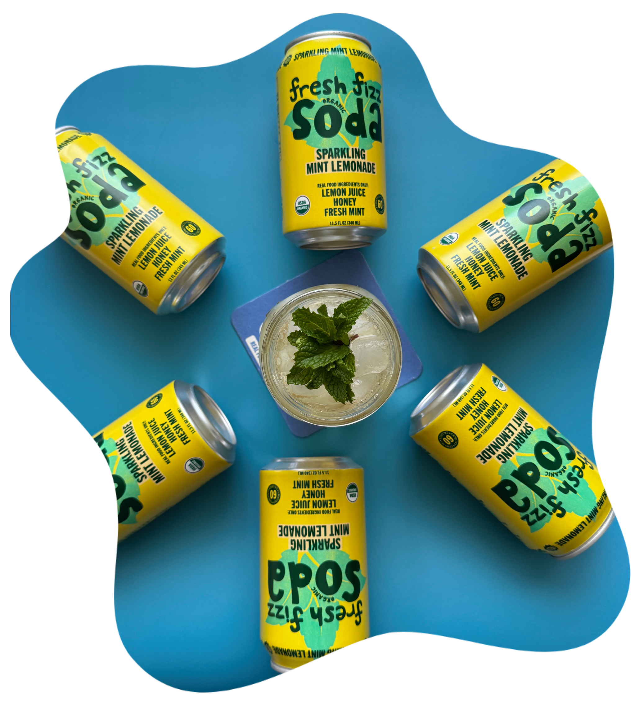 Fresh Fizz Sodas Splat.png