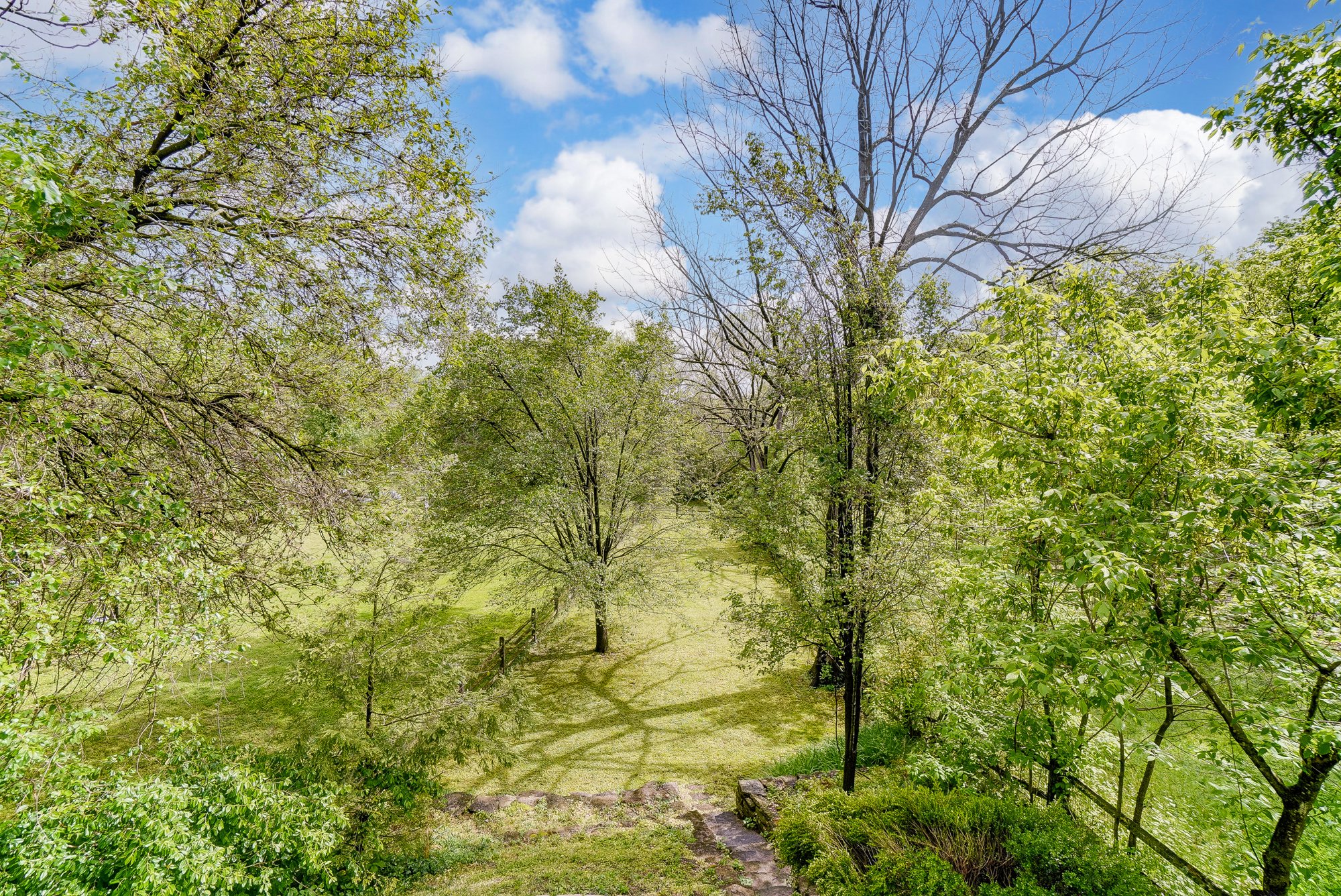 3760_hutton_st_web_029.jpg