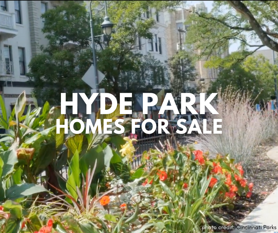 Blooming flowers in Hyde Park Square