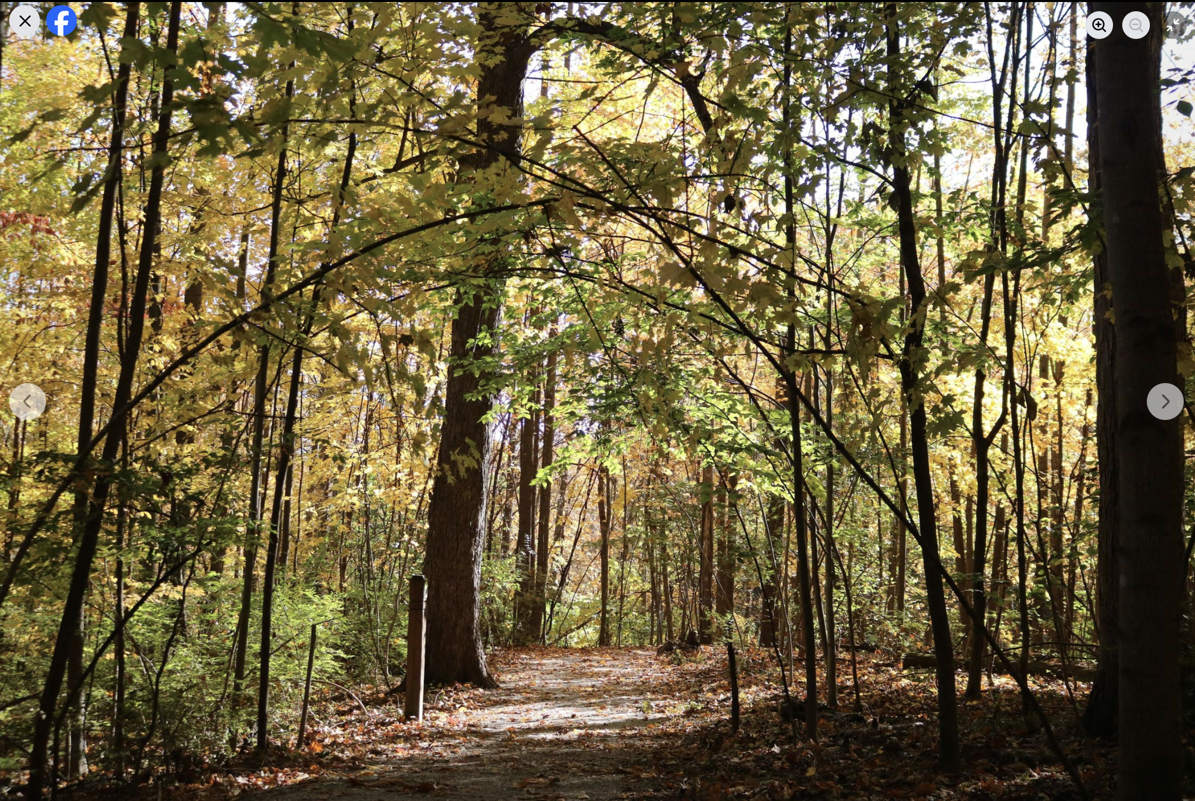 Wooded path at Montgomery, Ohio park