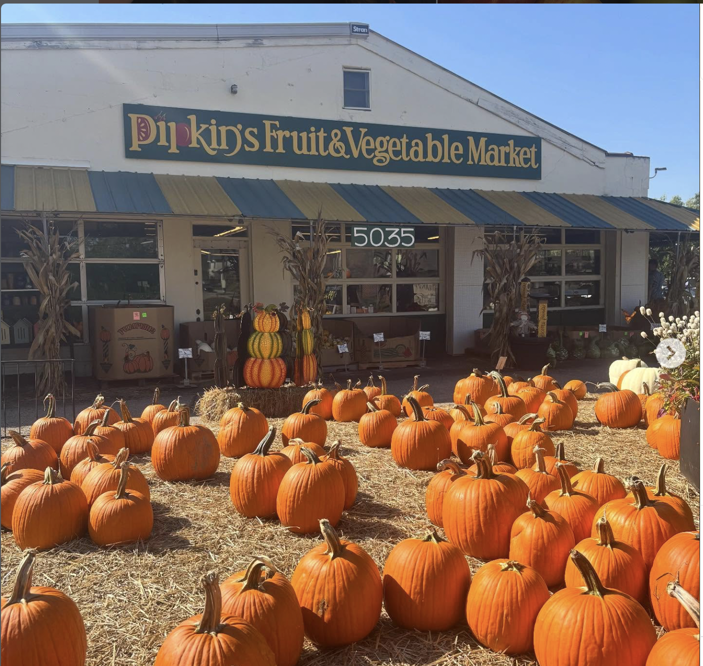 Pumpkins in front of Pipkin's Fruit & Vegetable Market in Blue Ash, Ohio
