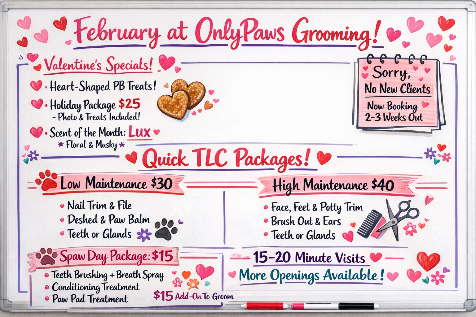 ❤️February at OnlyPaws Grooming 