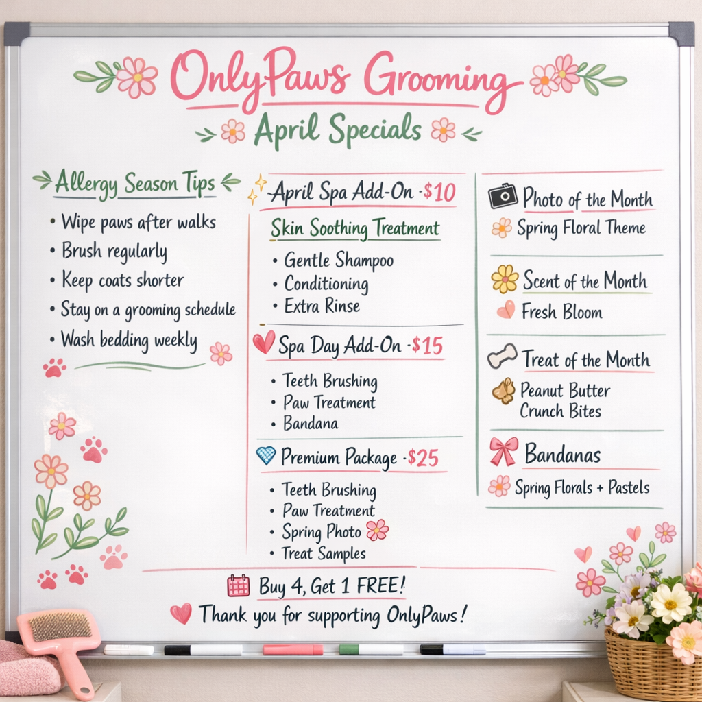       
  
    🌸 OnlyPaws Grooming – April Newsletter 🌸   Fresh, Clean, and Allergy-Ready for Spring   As we step into spring, it’s the perfect time to refresh your pup’s coat, skin, and overall comfort. April brings blooming flowers… but also  seas