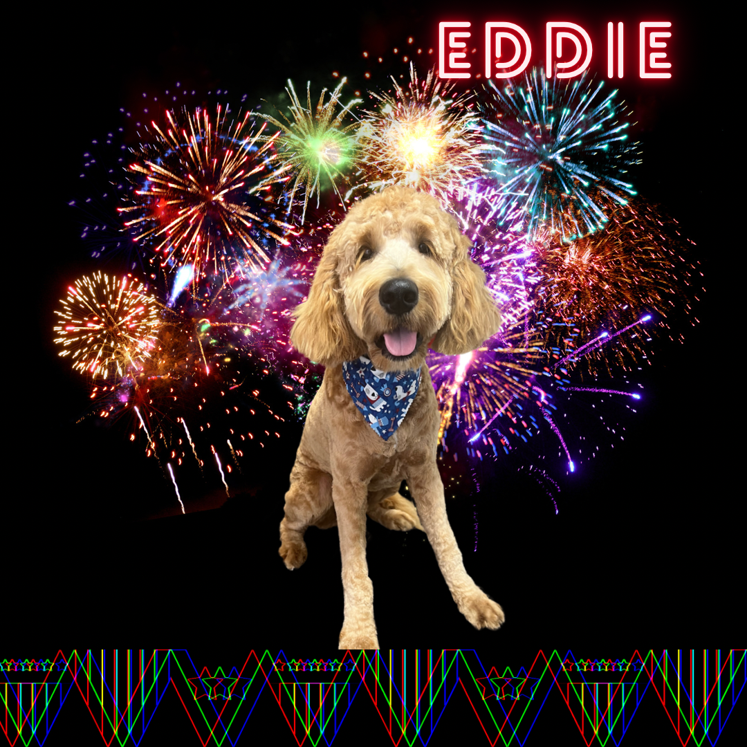 5B238E7D-3994-4438-AAD1-6AED55072D3B.png