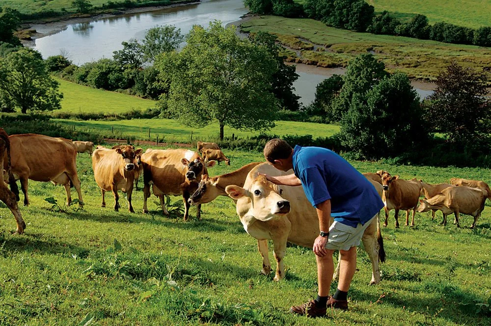 Sharpham Dairy