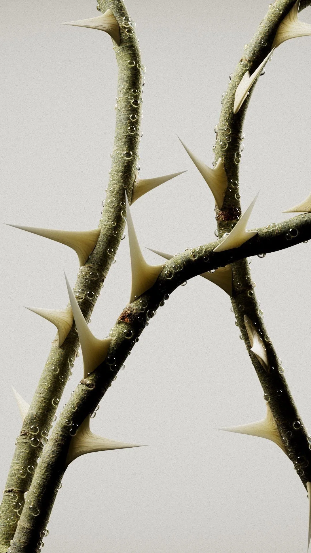 On Belief, Not Reach