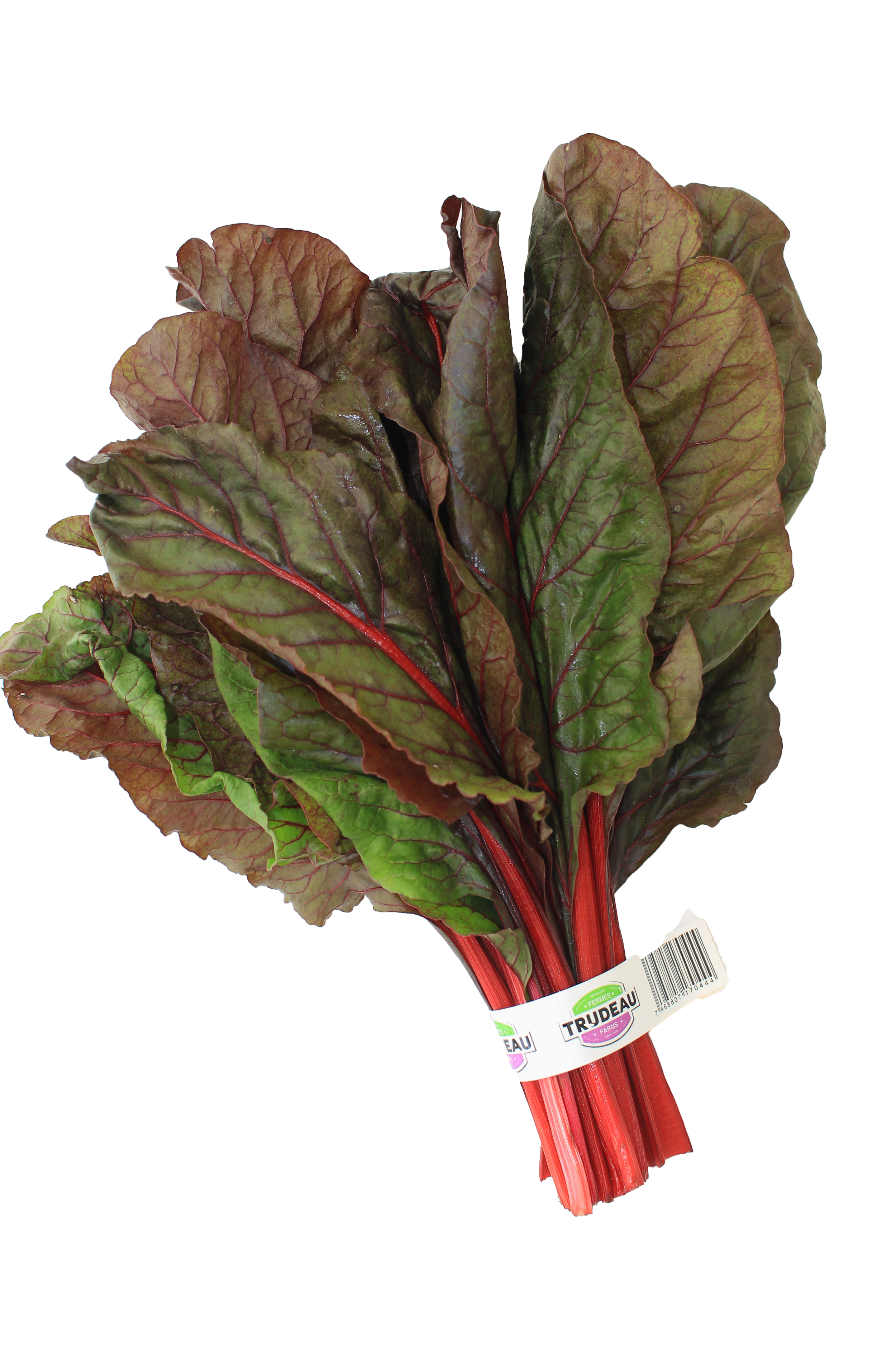 Acelga Roja.png