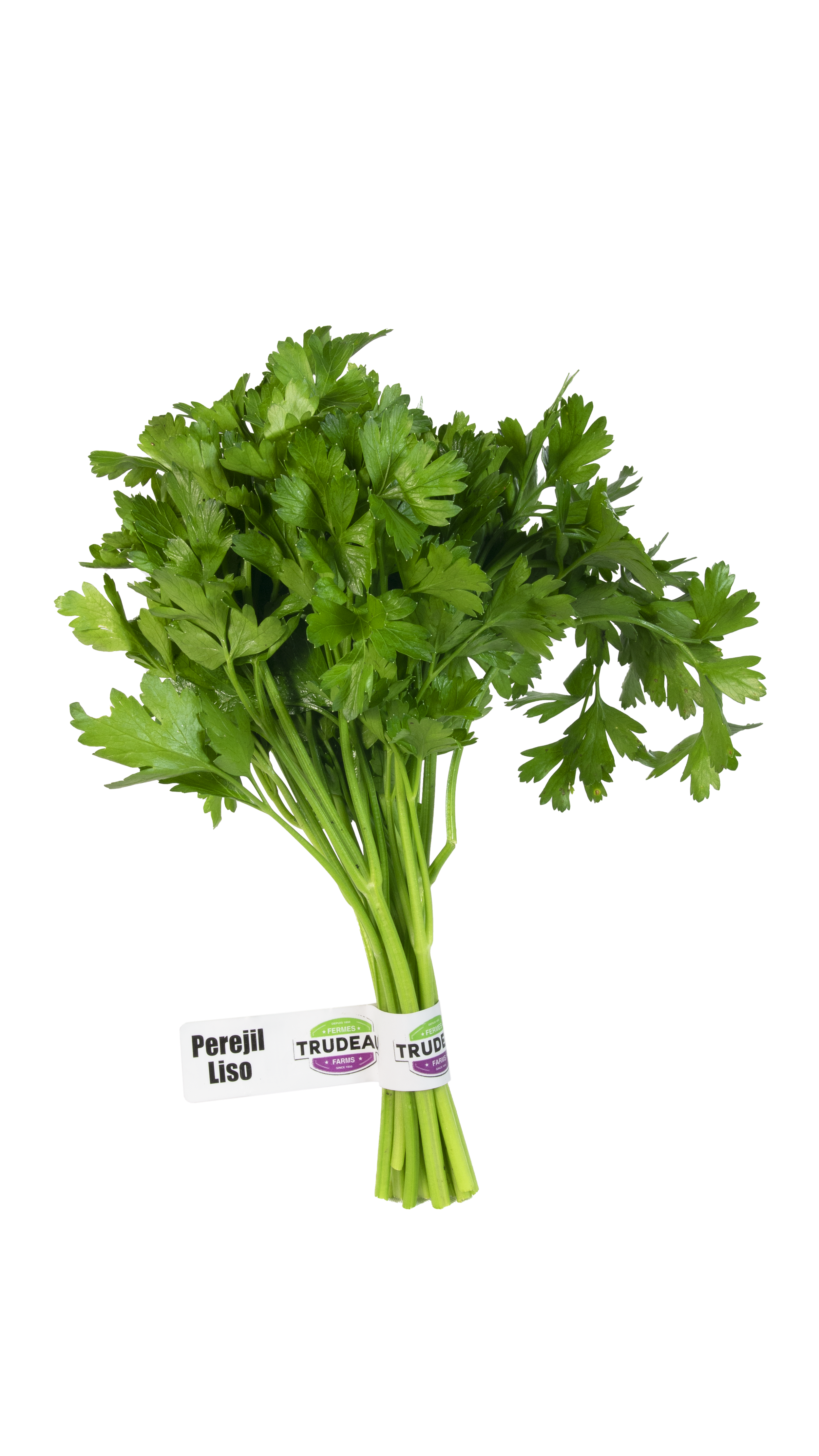 PEREJIL LISO AL GRANEL  (1).png