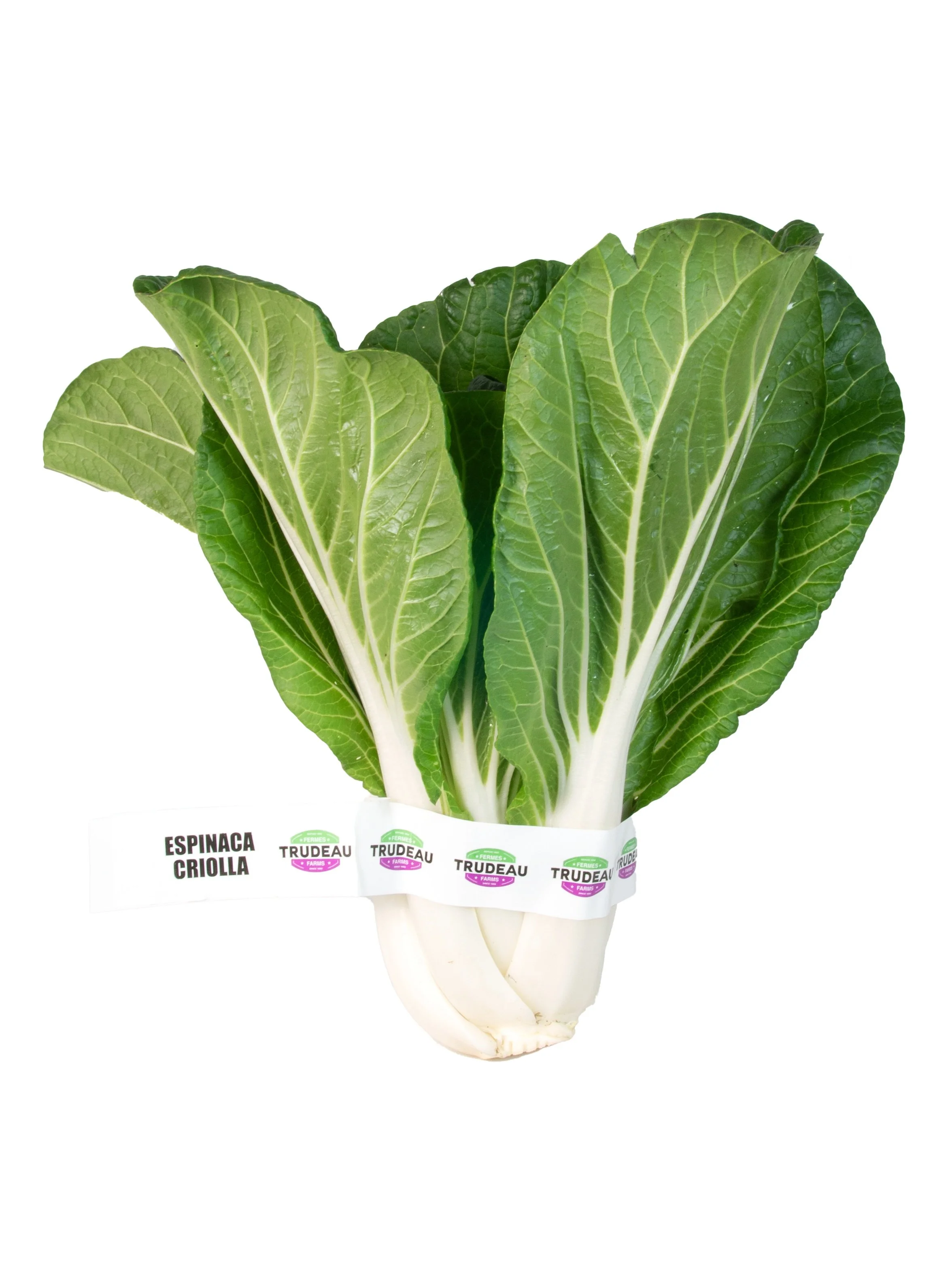 ESPINACA CRIOLLA AL GRANEL .jpg