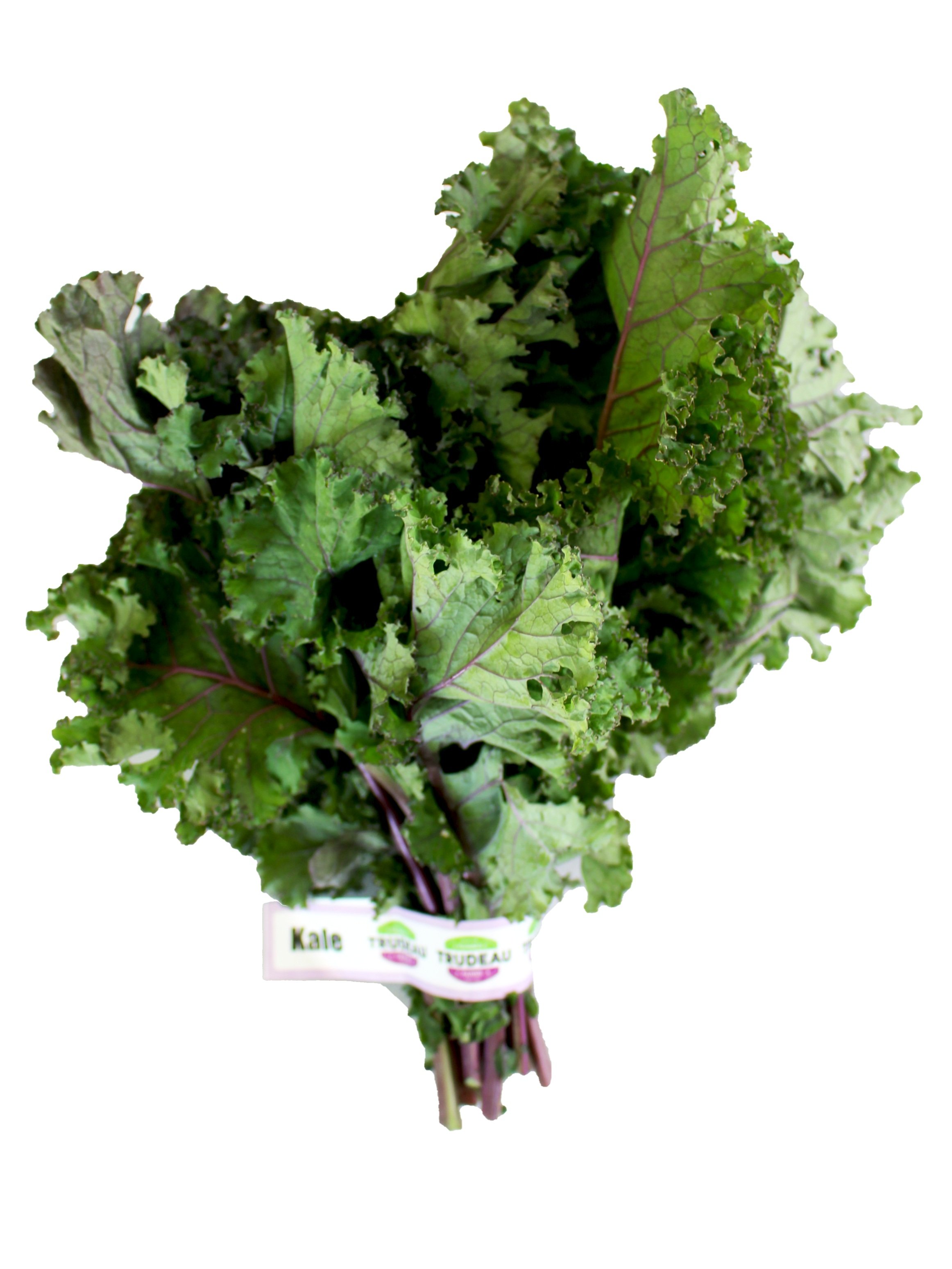 kale rojo.jpg