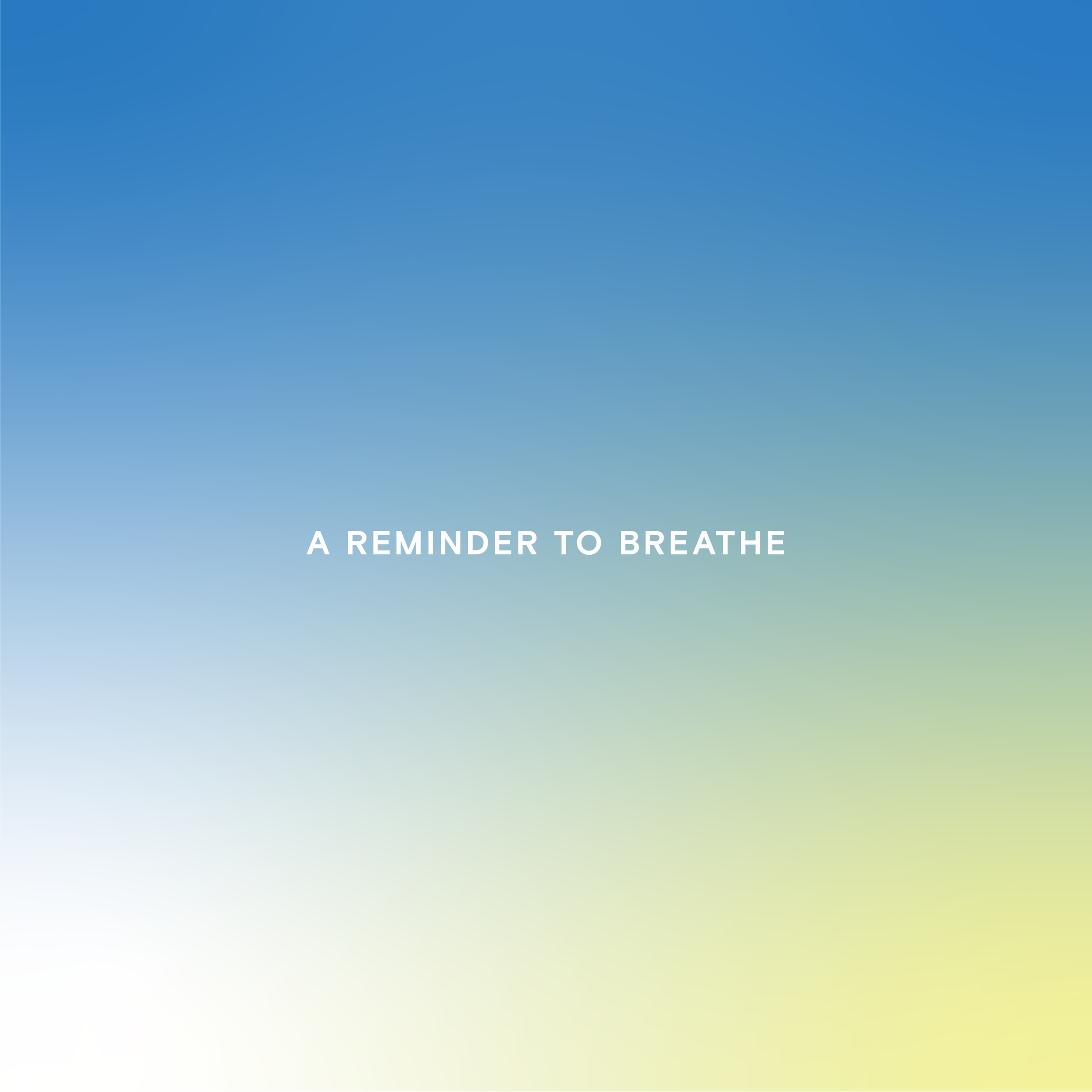 NightShow_GraphicPosts_2024-04.png