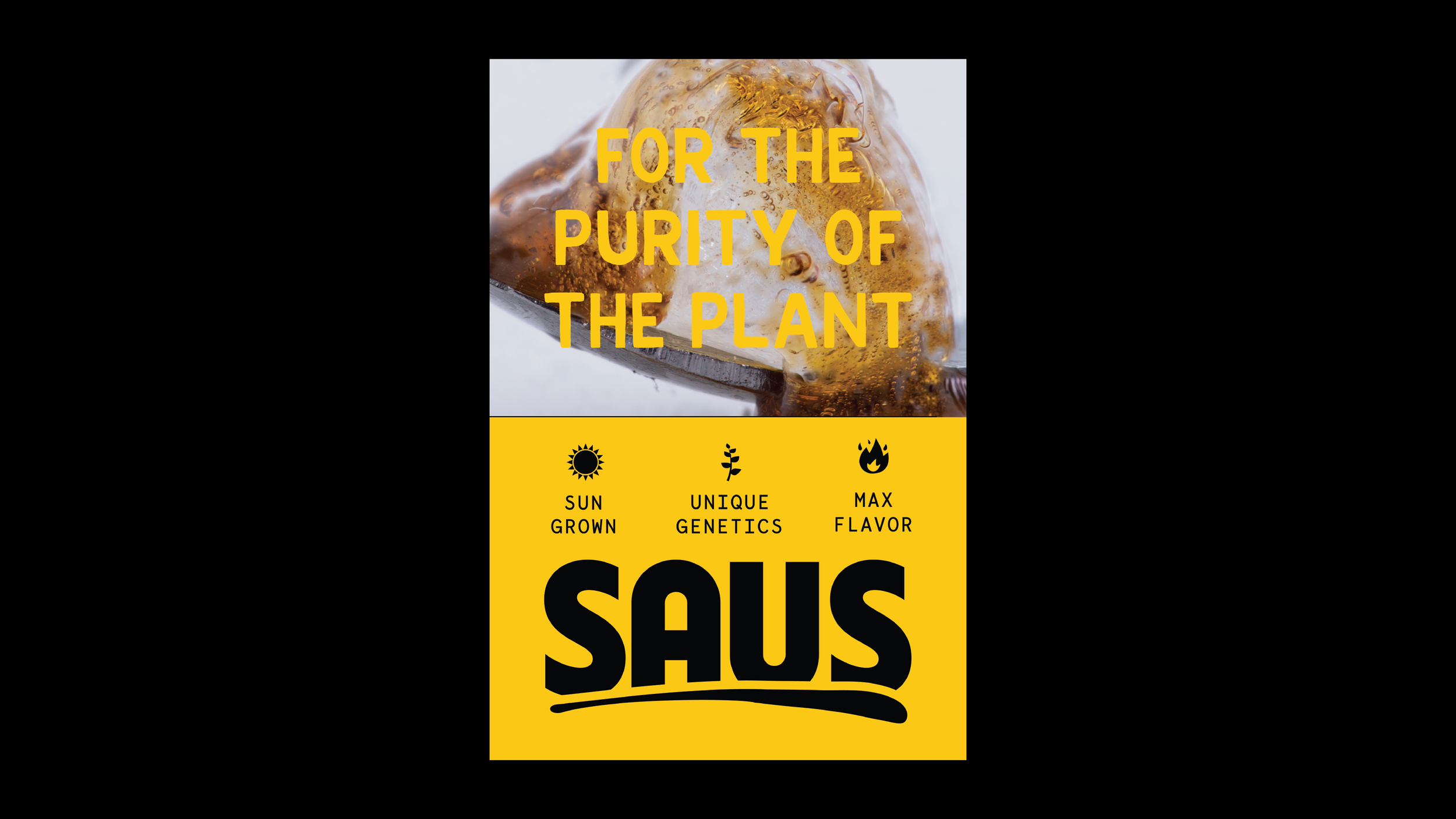 saus_collateral-02.png