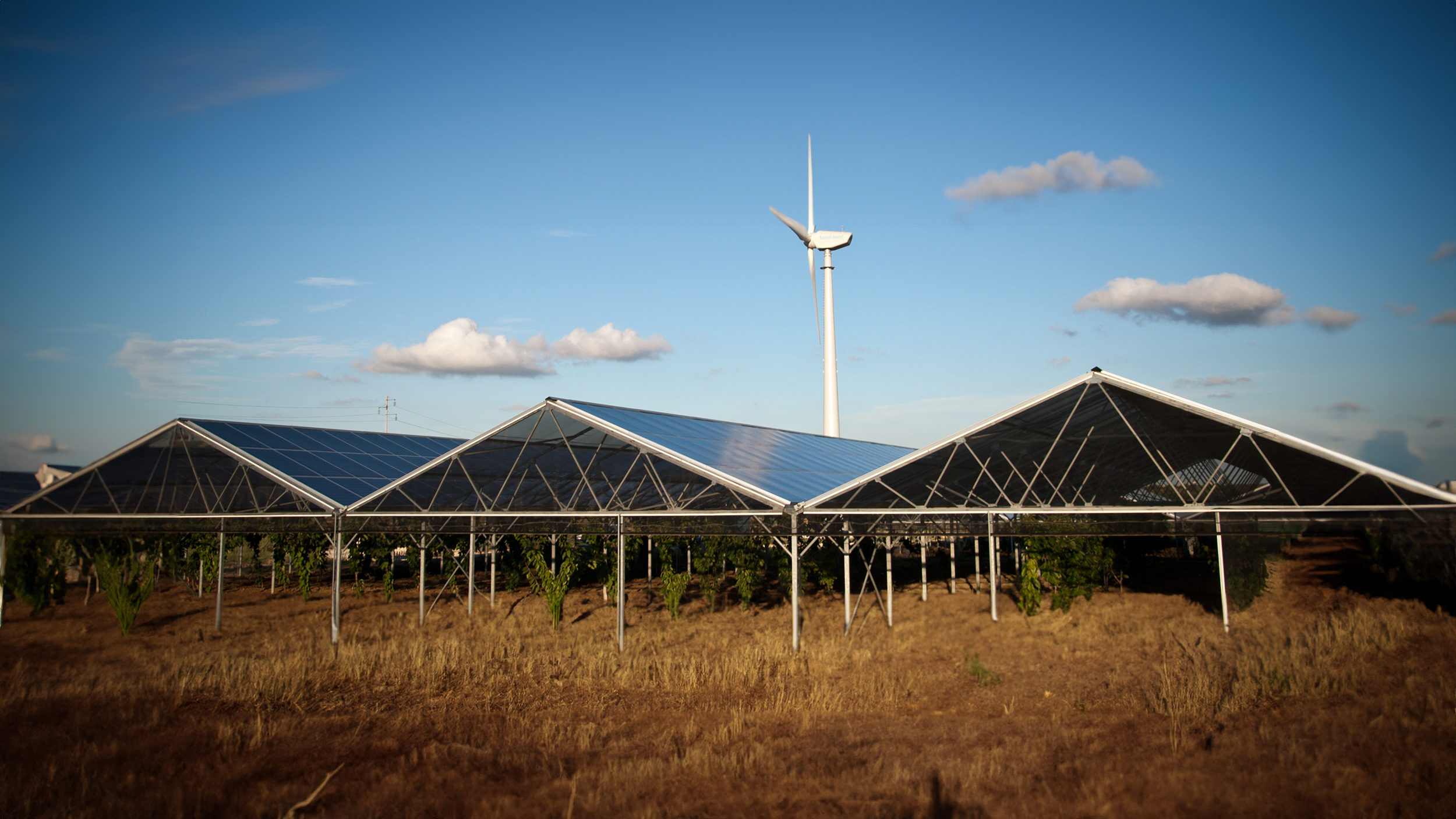 Serra solare e torre eolica in un campo con cielo sereno