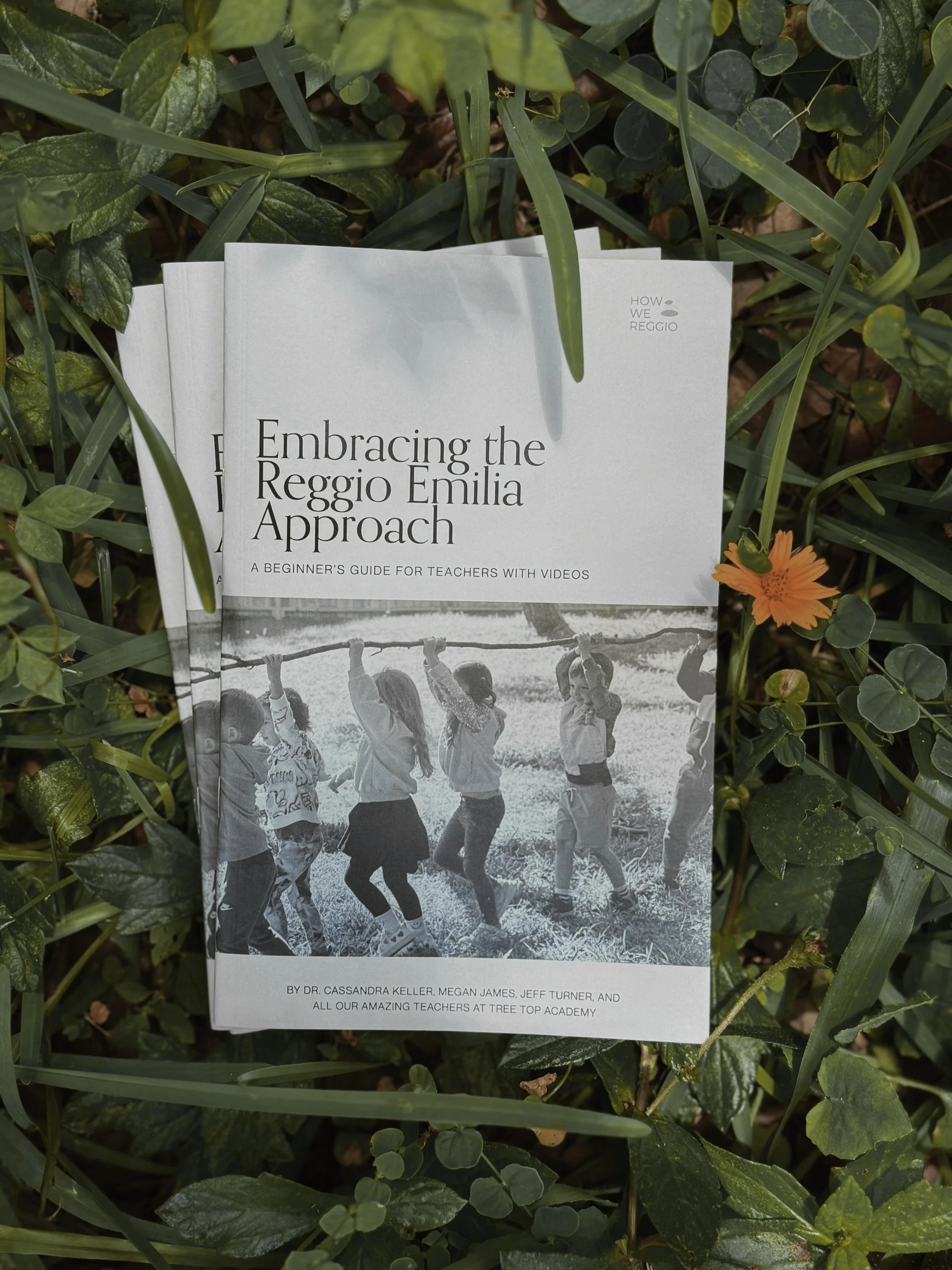Summer reading? 📖 
We just launched our limited 2027 Summer Bundle!

Purchase your early bird 2027 conference ticket and get a copy of our book, Embracing the Reggio Emilia Approach! 

🔗link in the bio 

#reggioinspired #earlychildhoodeducation #at