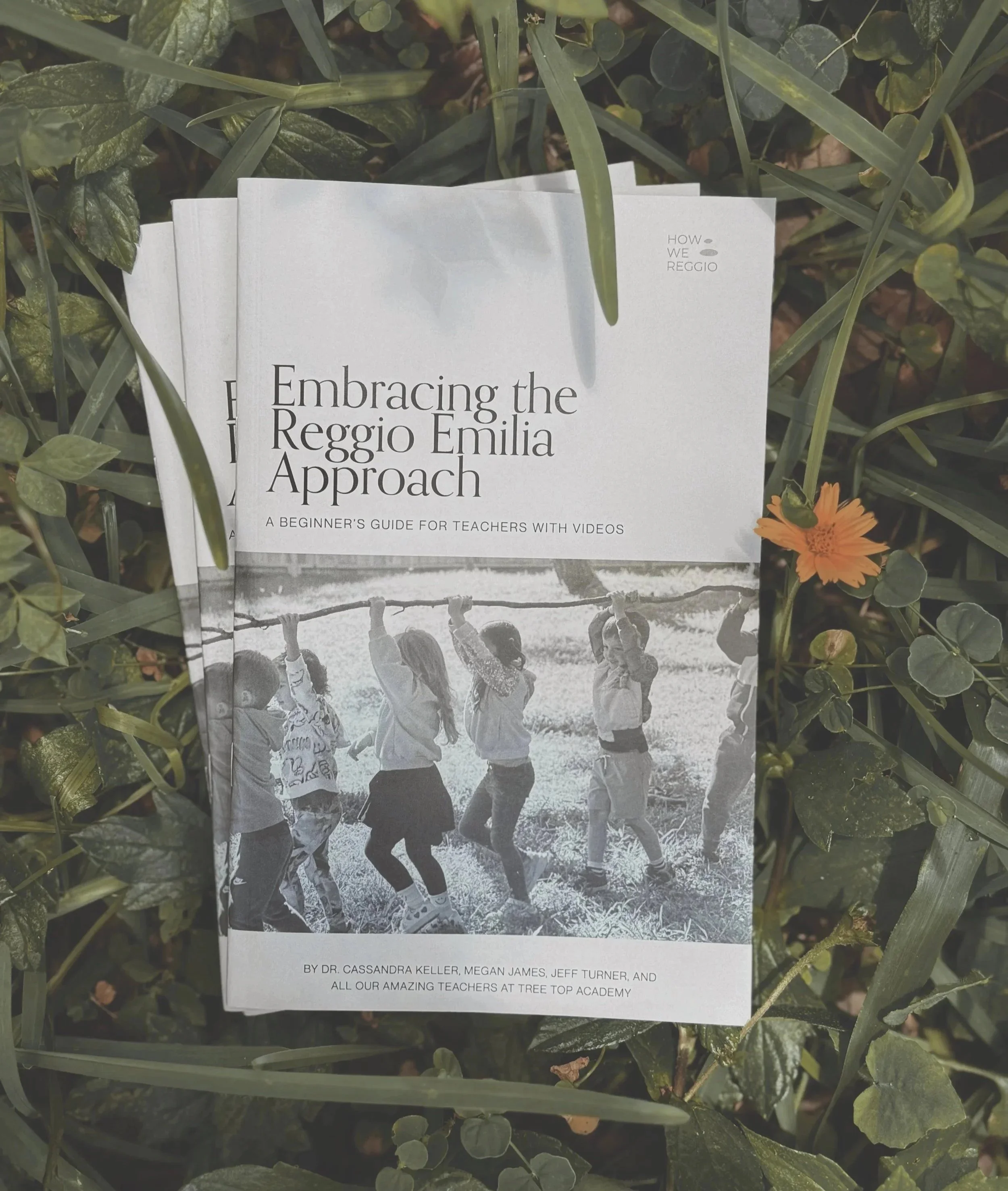 How We Reggio 2027 : Conference and Book Bundle