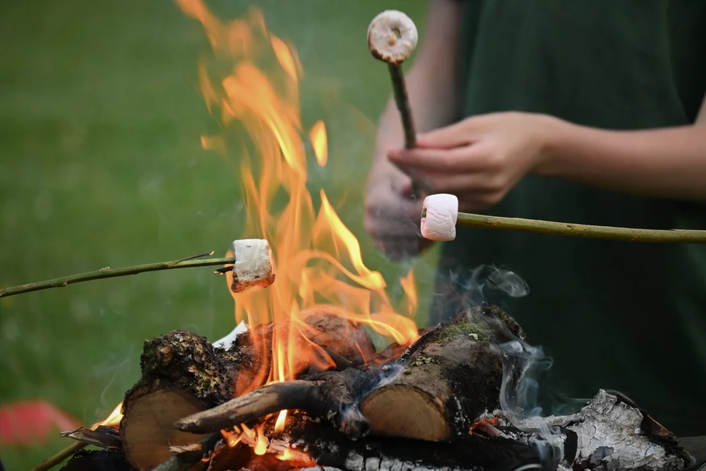 park-school-term-dates-plan-your-school-year-today-stay-informed