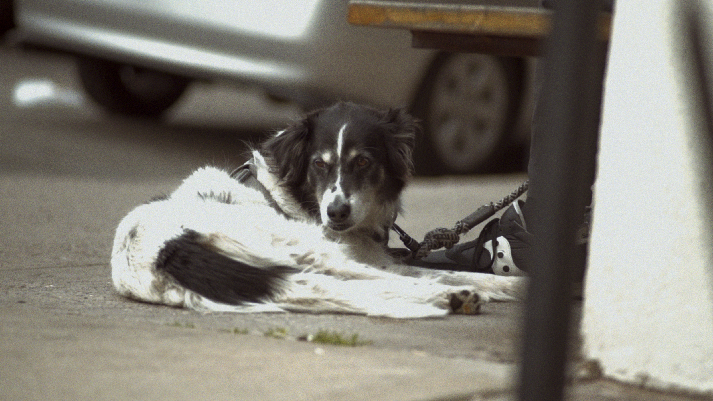 LESSONS IN RHYTHM (2025)