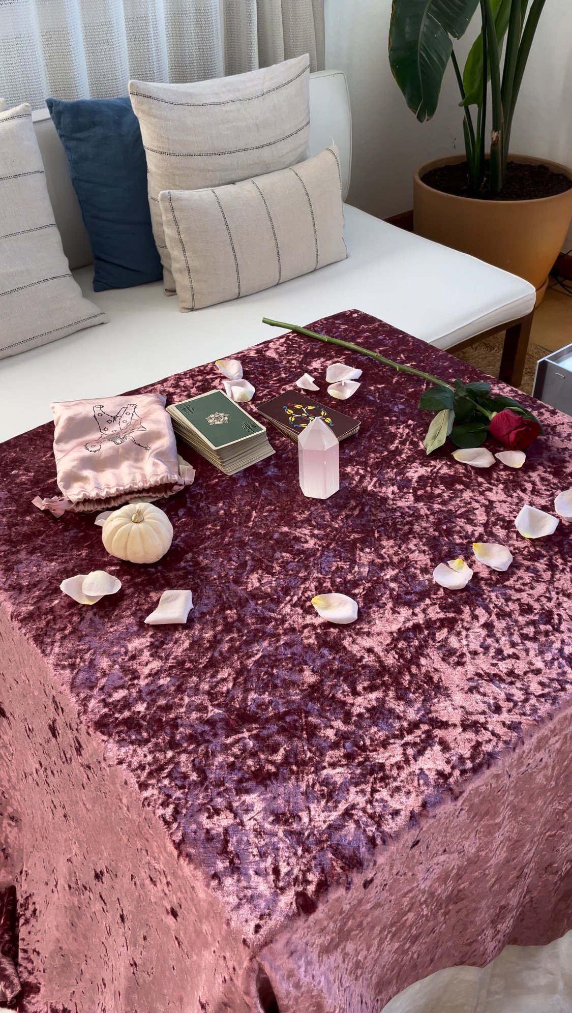 MAGIC SATURDAY - Tarot & vinos naturales