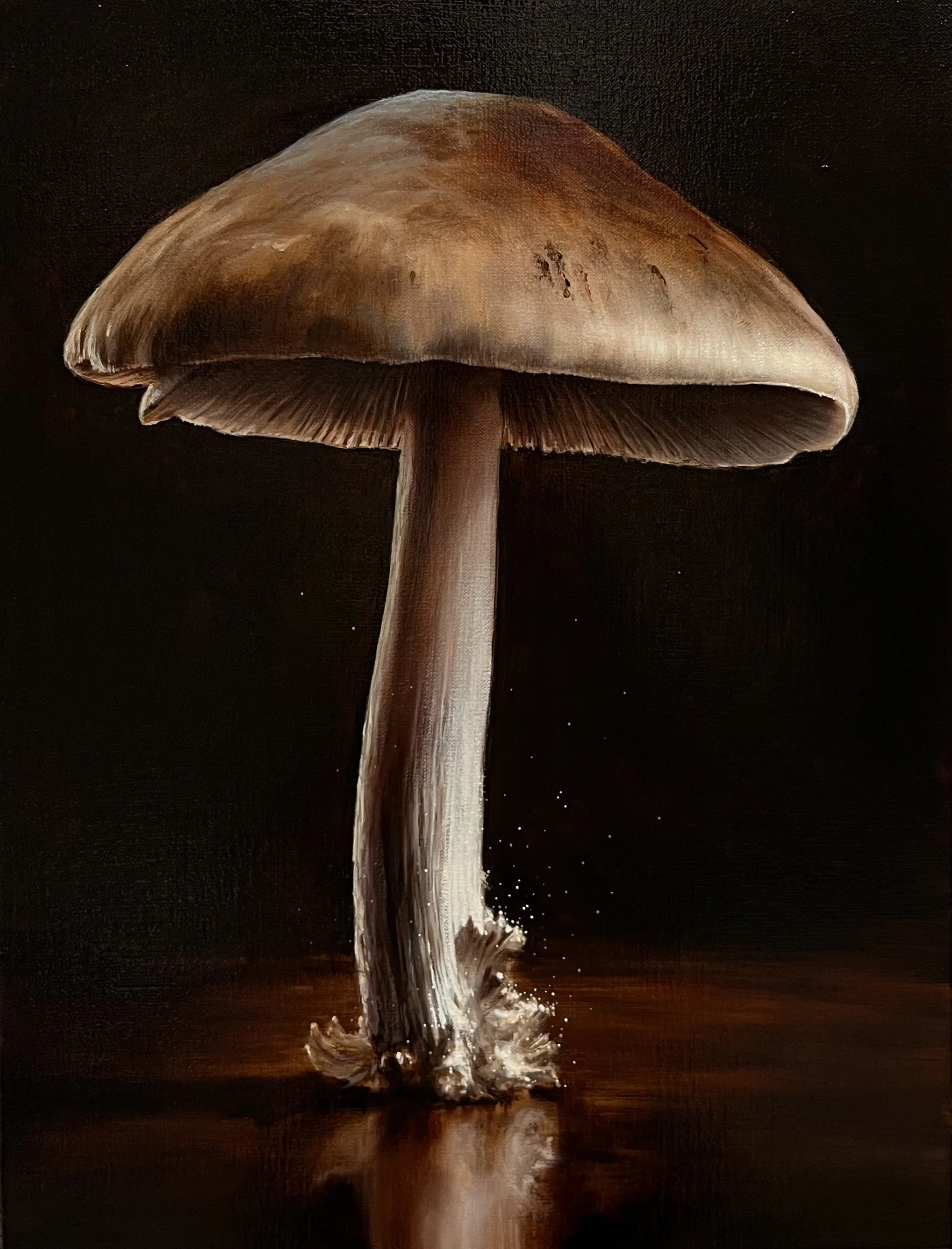Flora (2), oil on linen, 35 x 46 cm, 2023.jpeg