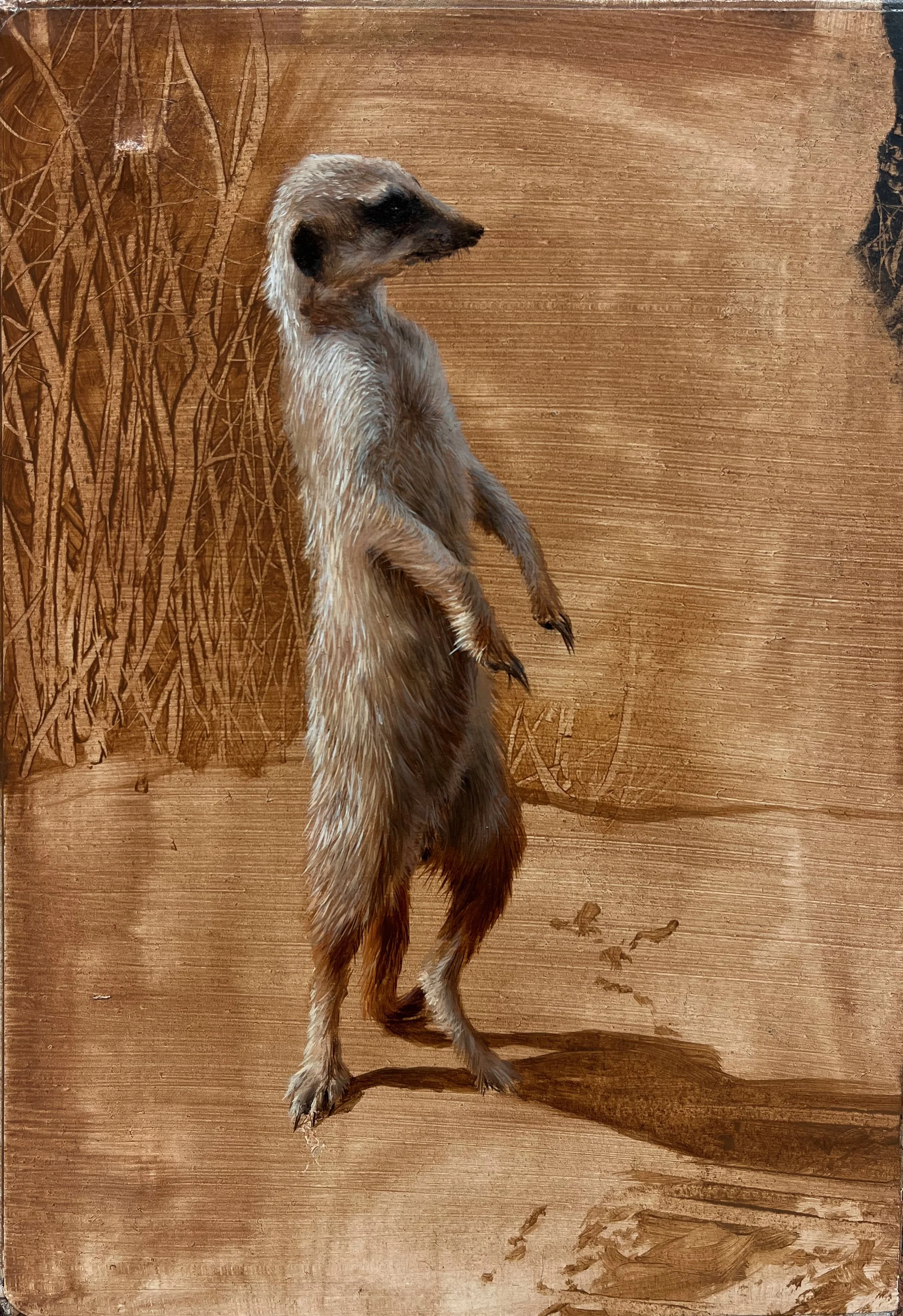 Fauna (4), oil on bookcover, 29,7 x 21 cm, 2022.jpeg