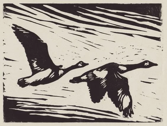 ELLENSBURG, WA - TBD 