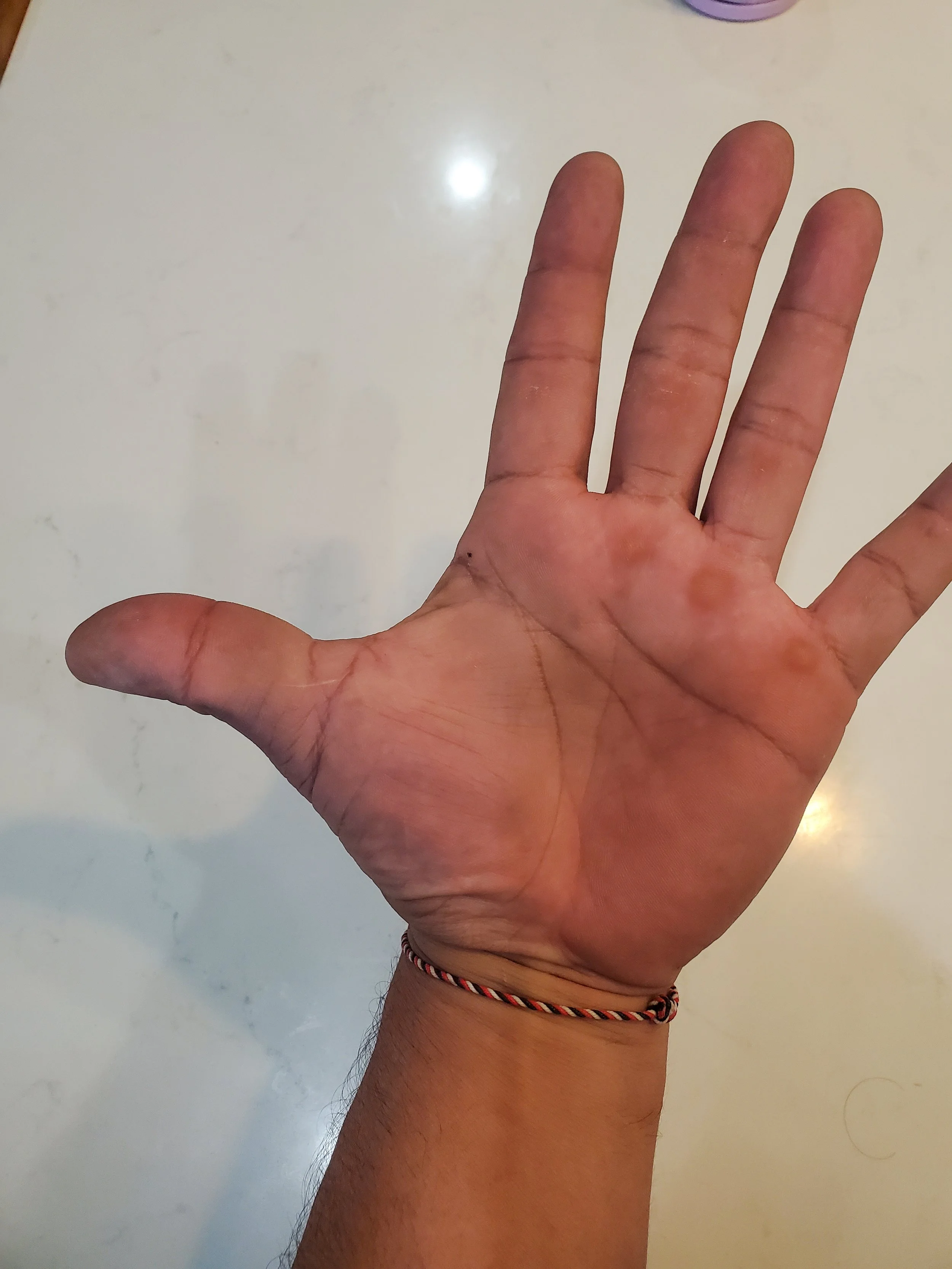 20260724_140946.jpg