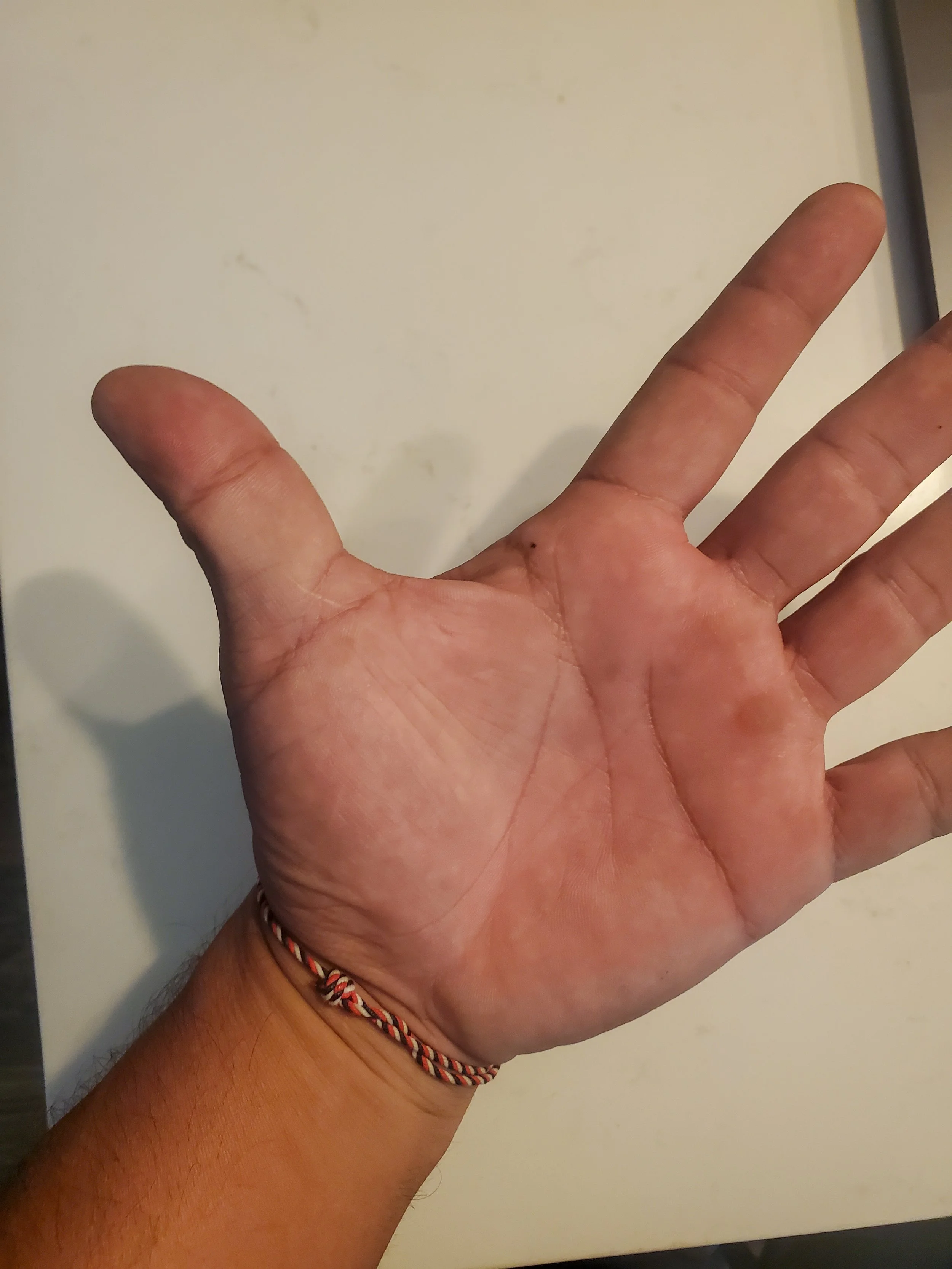 20260728_171106.jpg