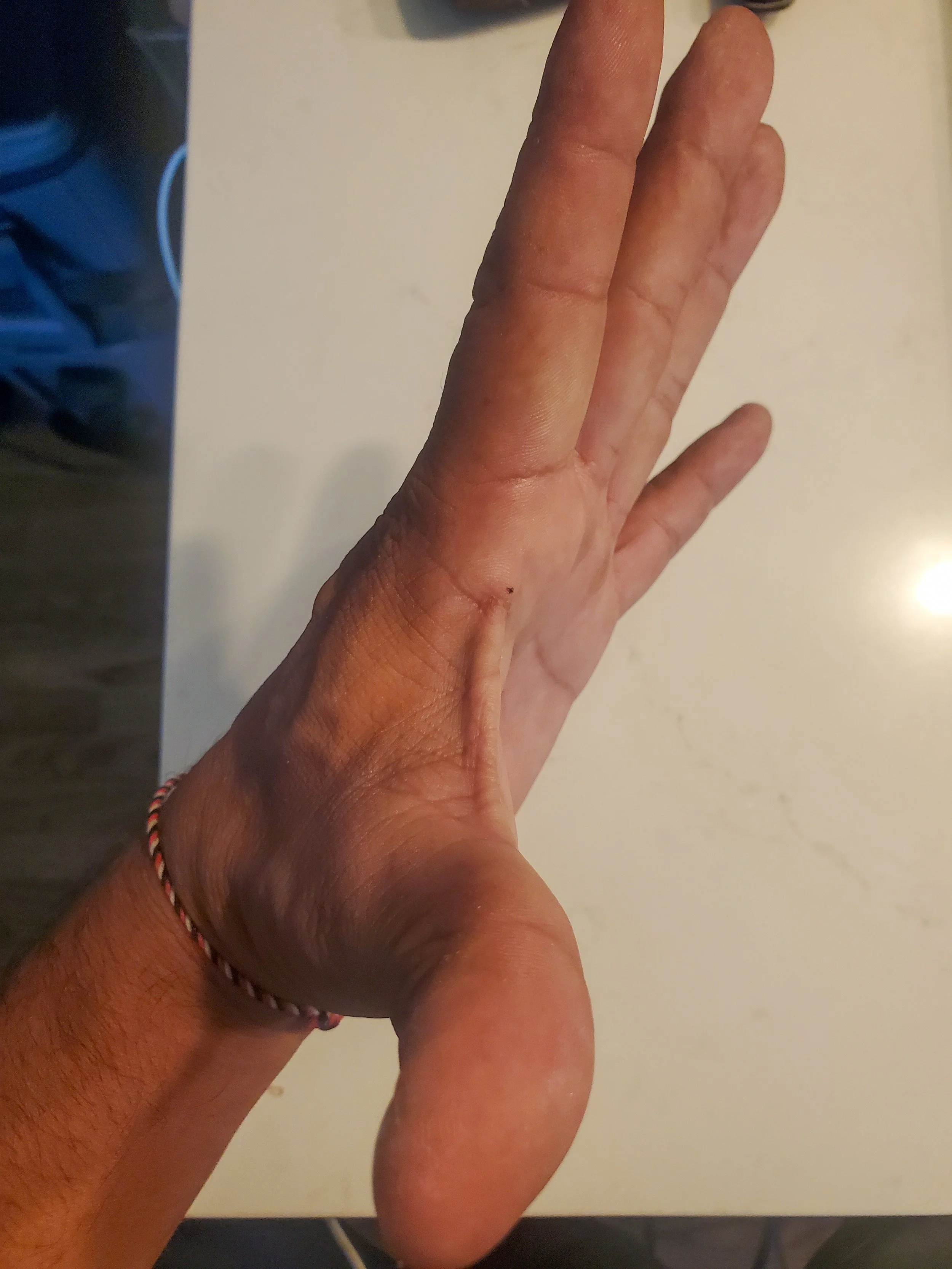20260728_171109.jpg